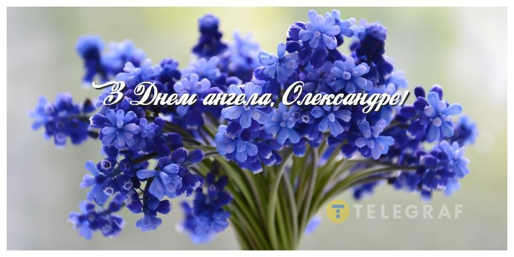  ��������� ��������� ����� ����� �������� �������� 2024 