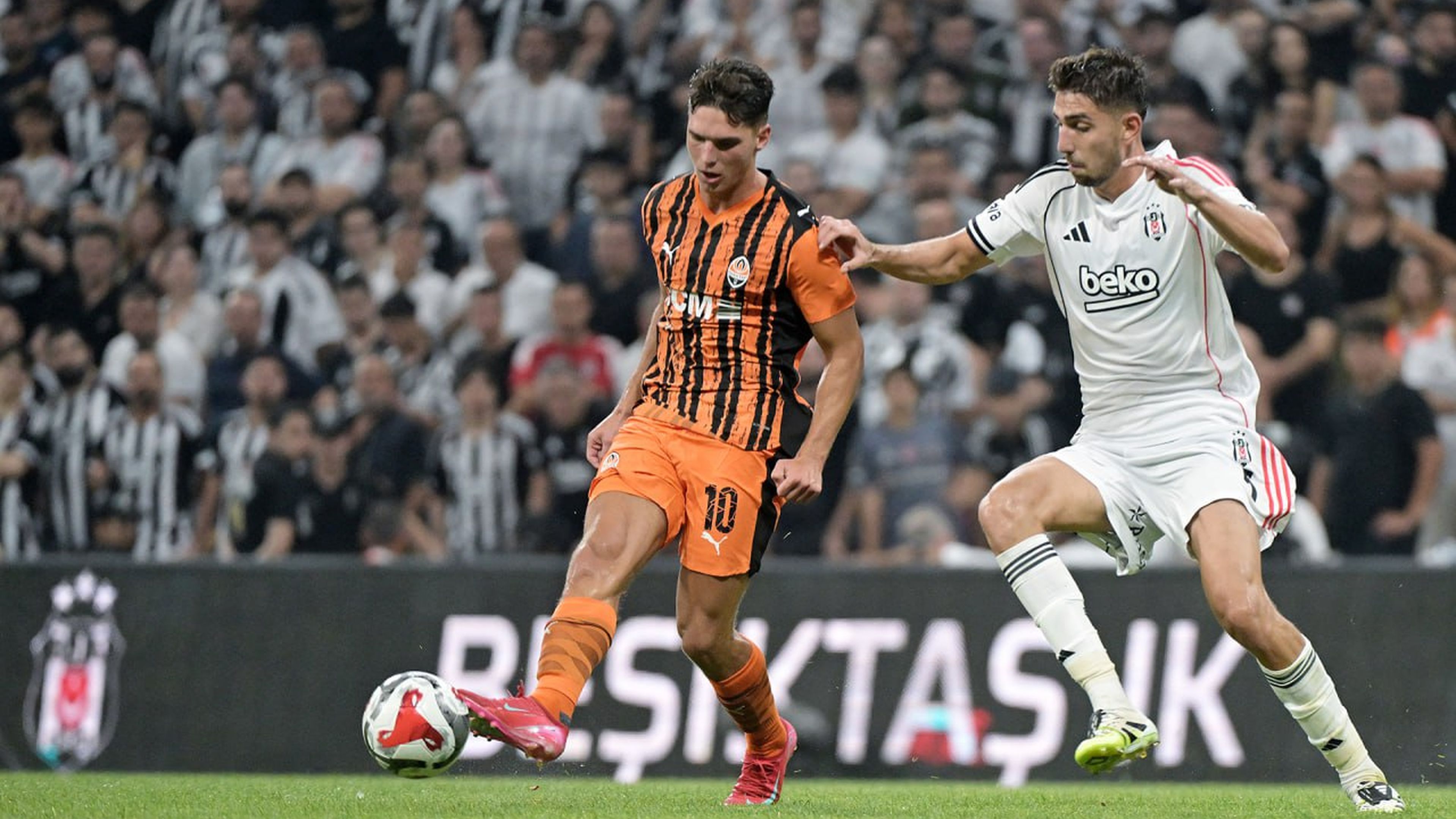  ������ �������� ������-���������� ����� ���� ������ 