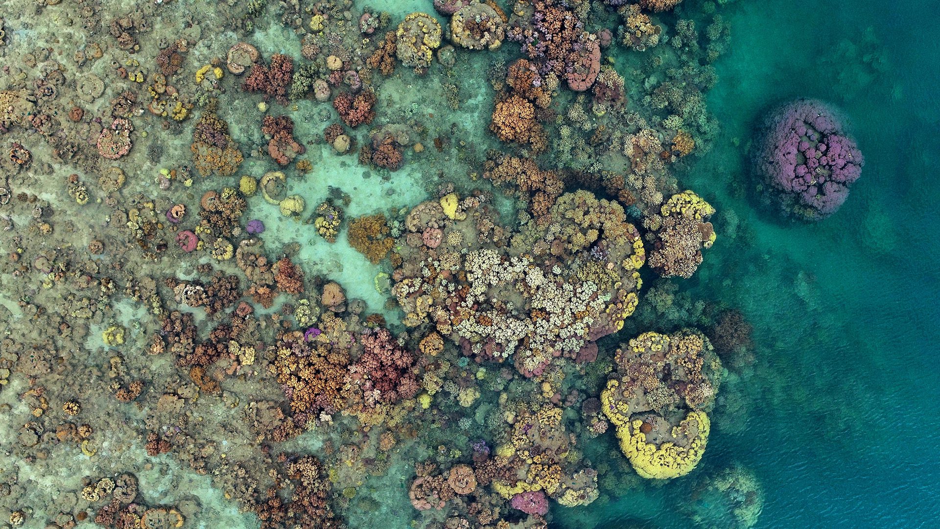  ��� ������ ����� ������� ���������� 400 ��������� ����������� 