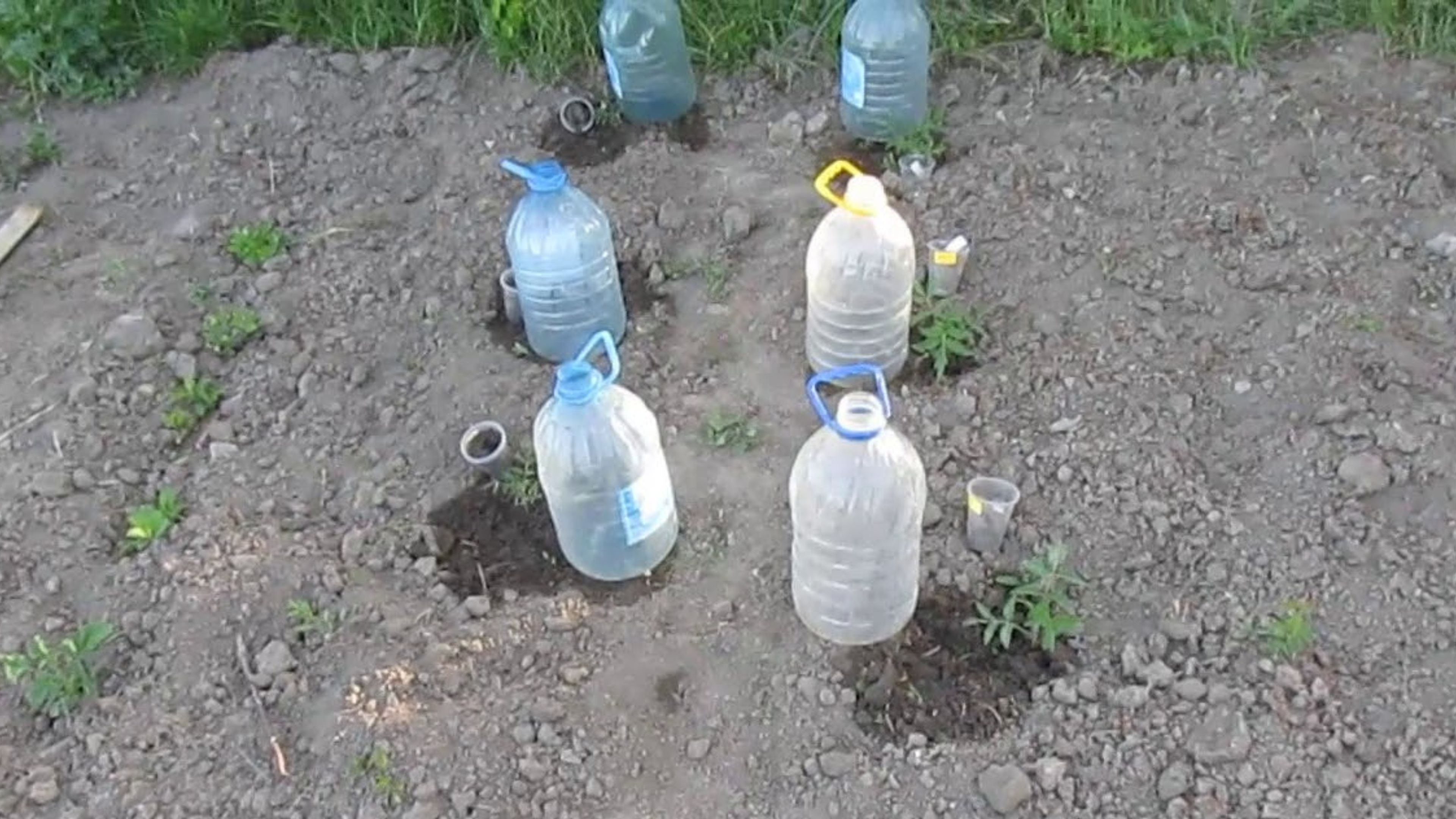 Как сделать капельный полив из пластиковой бутылки и глиняных горшков