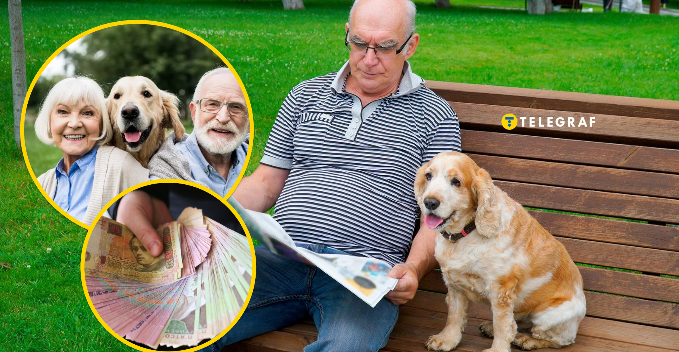 Пенсіонери можуть заробити значну прибавку: у Харкові пропонують роботу любителям собак