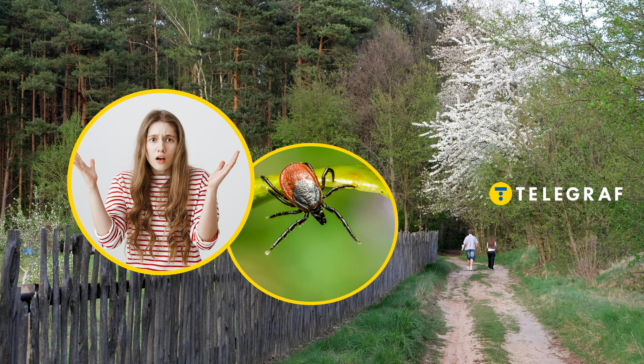 Кліщі атакують Україну. Два елементарних лайфхаки, які не залишать паразитам шансу вкусити