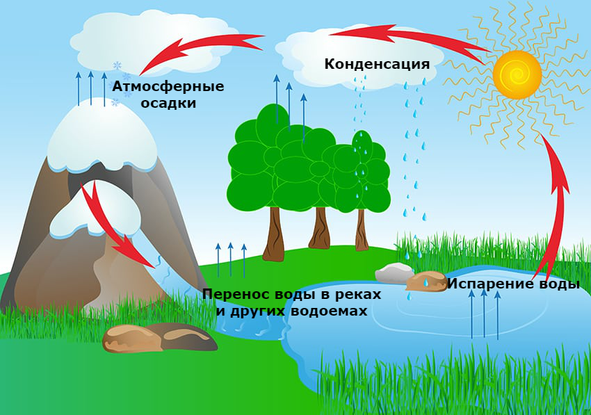 Круговорот воды в природе рисунок раскраска (44 фото) » рисунки для срисовки на slep-kostroma.ru
