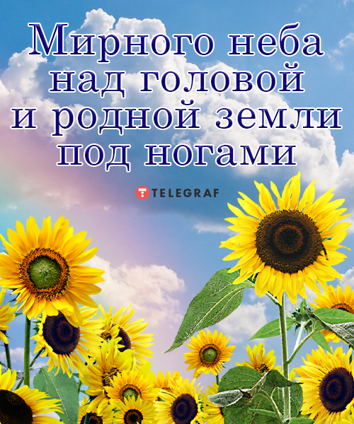Пожелания мира в Украине — красивые открытки и картинки - Телеграф