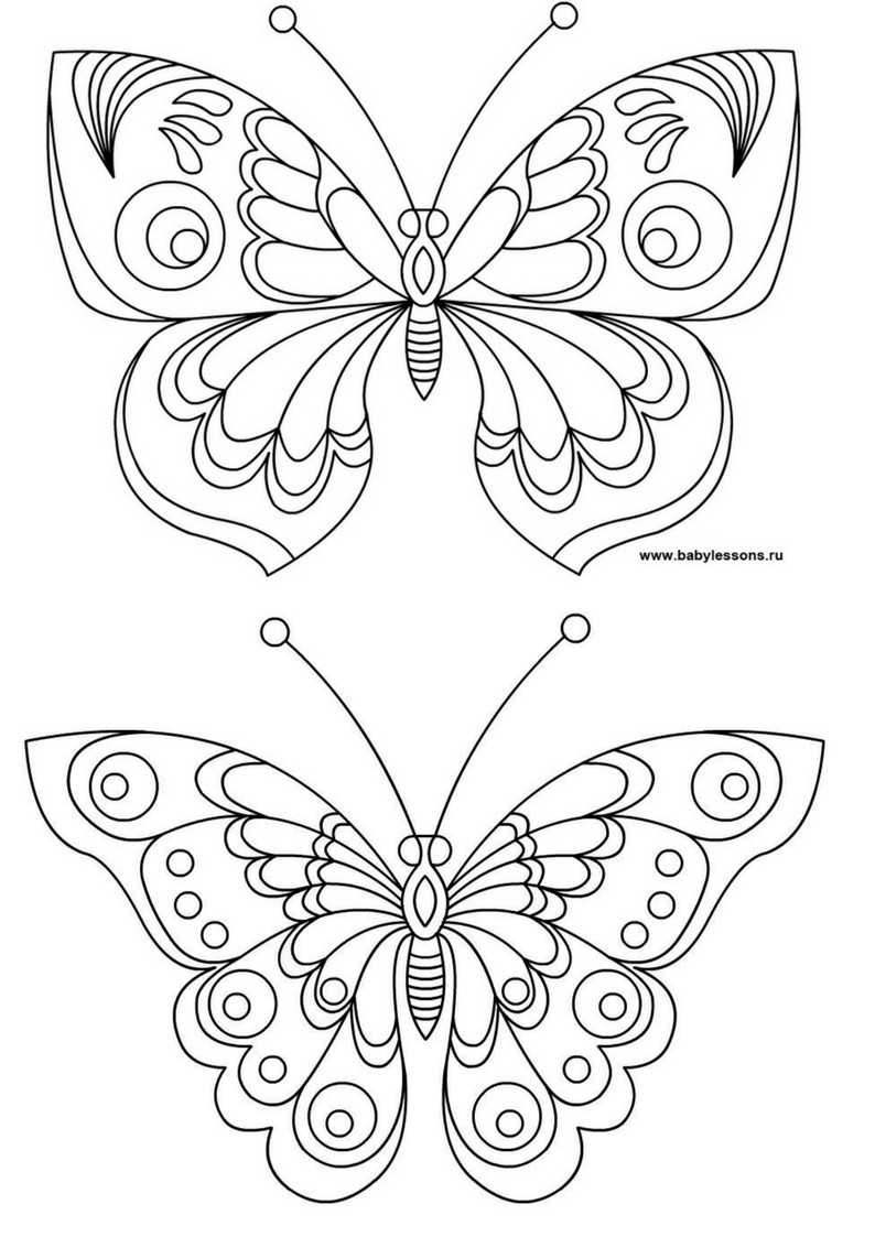 Раскраска 2 бабочки. Раскраска "бабочки". Бабочка раскраска для детей. Детские раскраски бабочки. Бабочка раскраска для малышей.