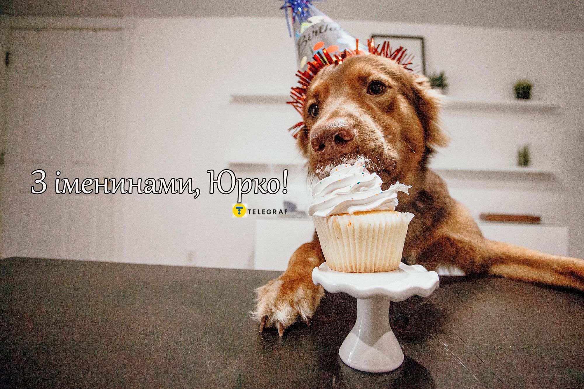 З Днем Юрія 2026! Красиві листівки та картинки на іменини