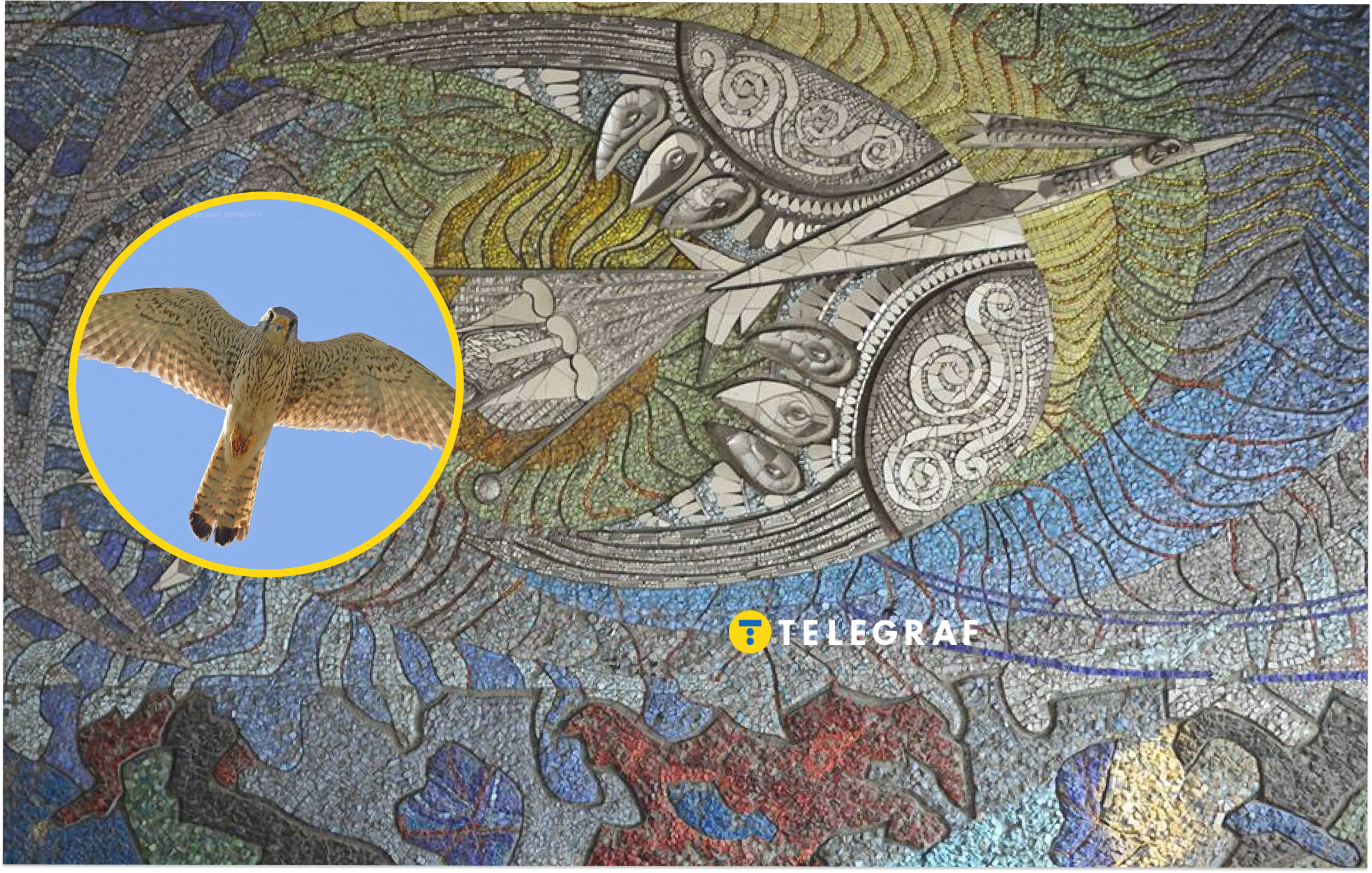 Птах, який є символом України, перебирається в міста. Орнітолог пояснив причини