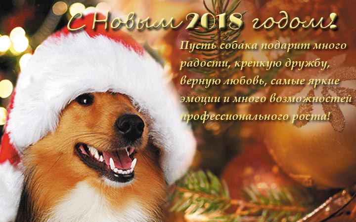 Поздравления с Новым годом тете Год Собаки в прозе