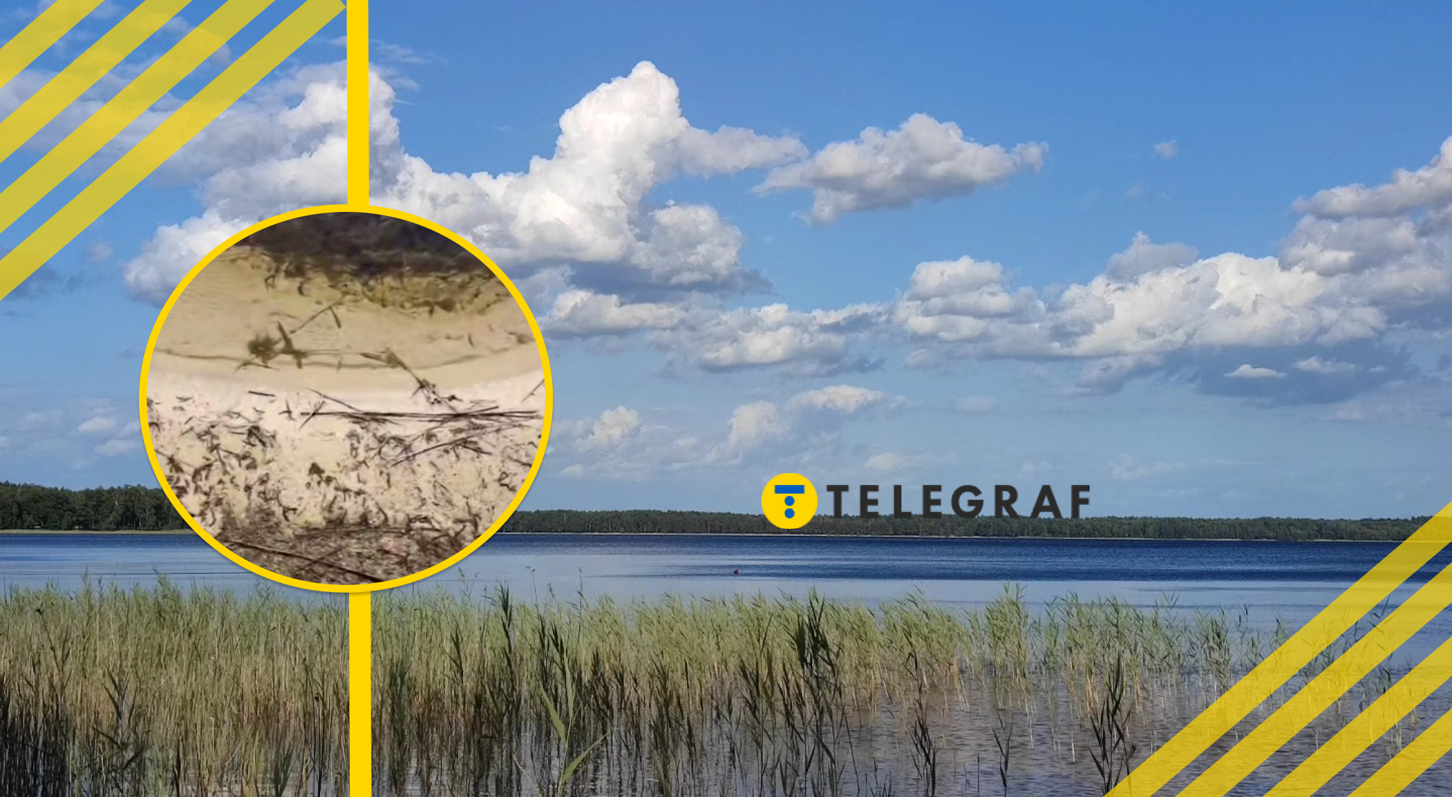 Замість води – голий пісок: унікальне озеро в Україні перетворюється на пустелю (відео)