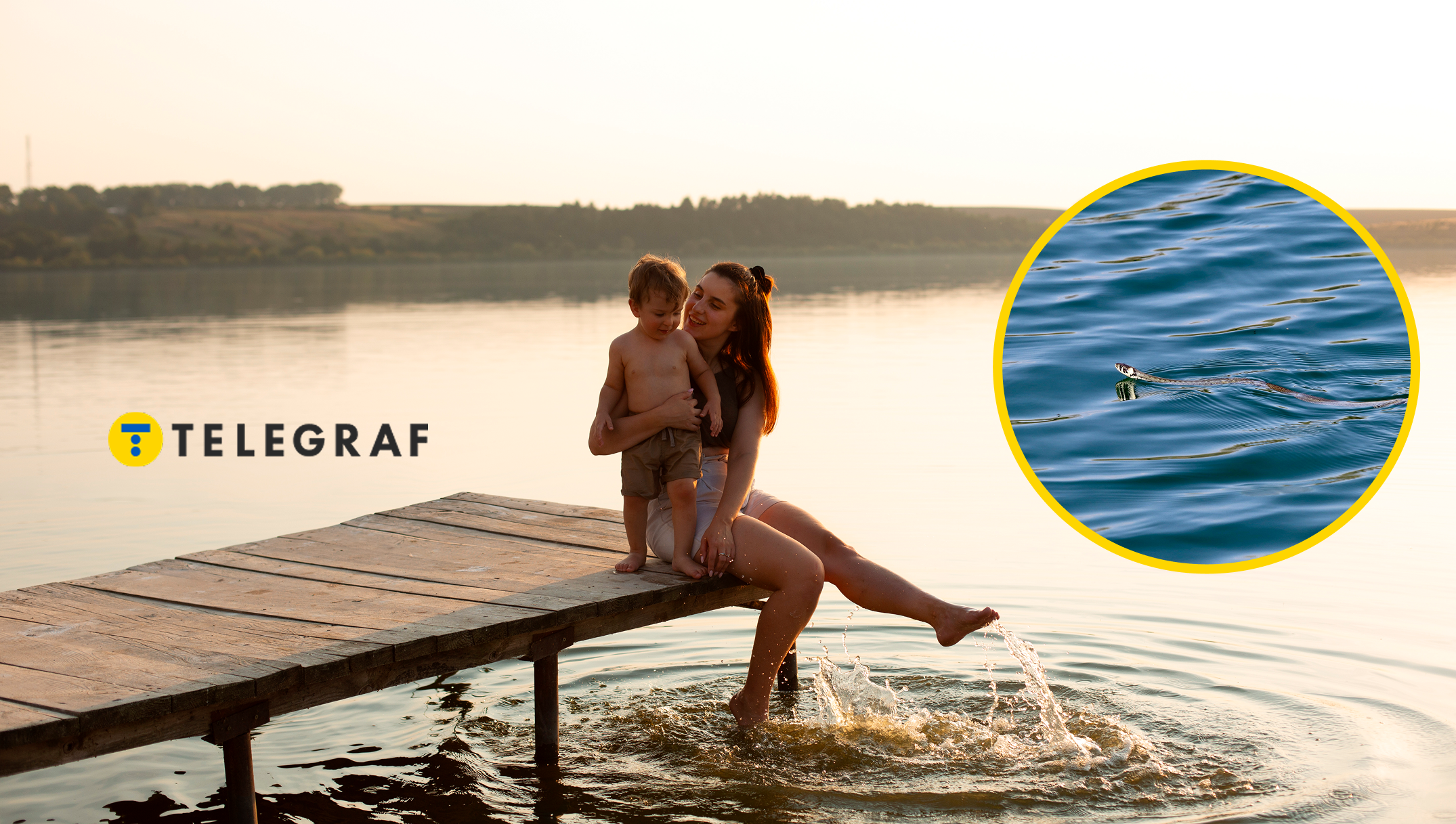 Ви пливете, а вона поруч: чи здатна гадюка напасти на людину на воді