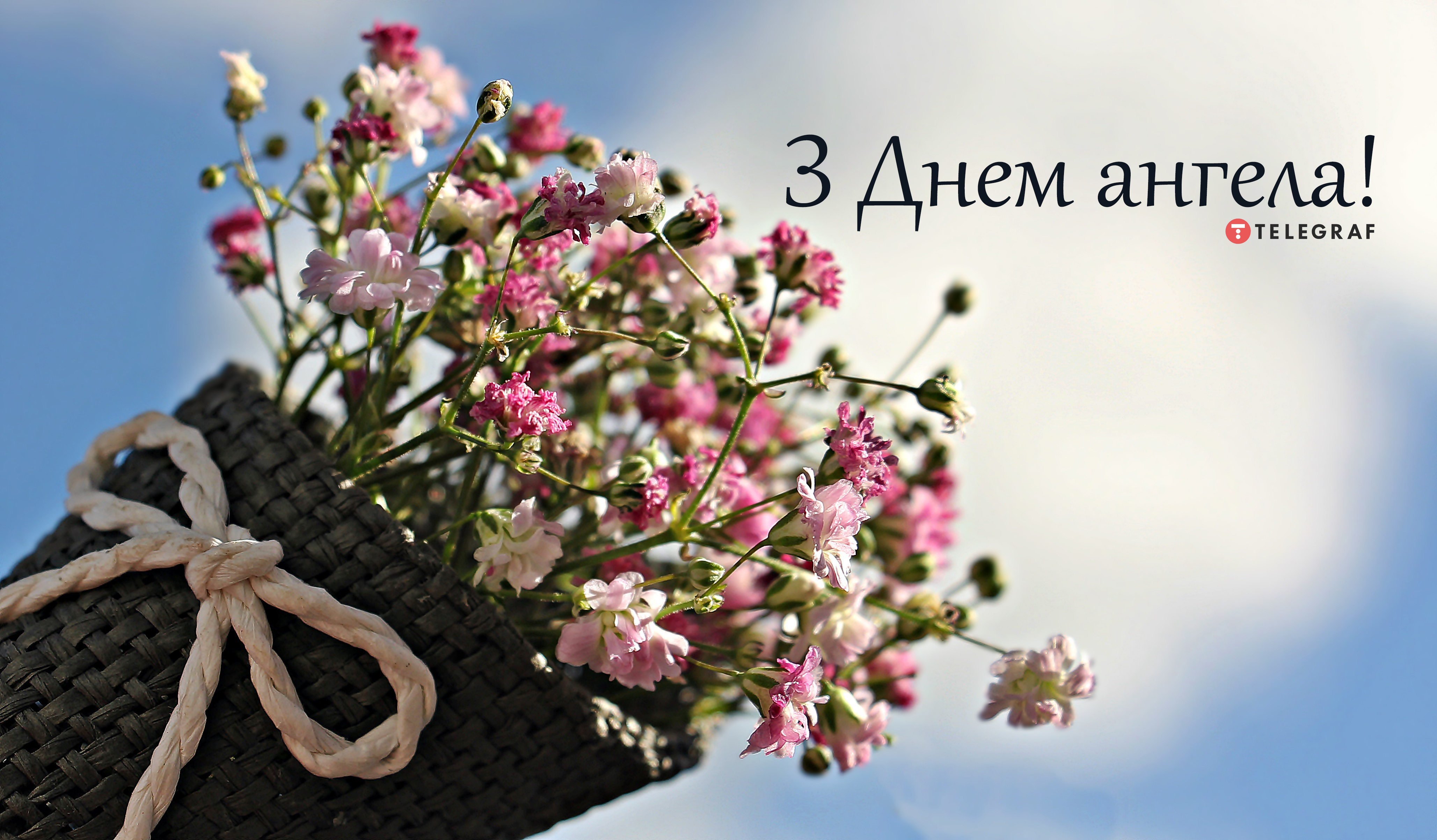 6 flowers. Цветы. Гипсофилы. Цветы в горшках. Картинки на рабочий стол гипсофила.