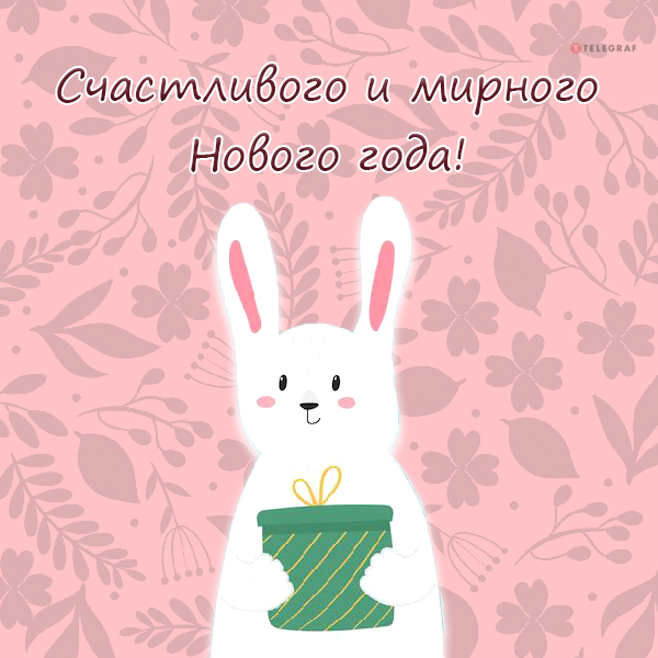 С Новым годом Кролика 2023 — забавные открытки и картинки с кроликами - Телеграф