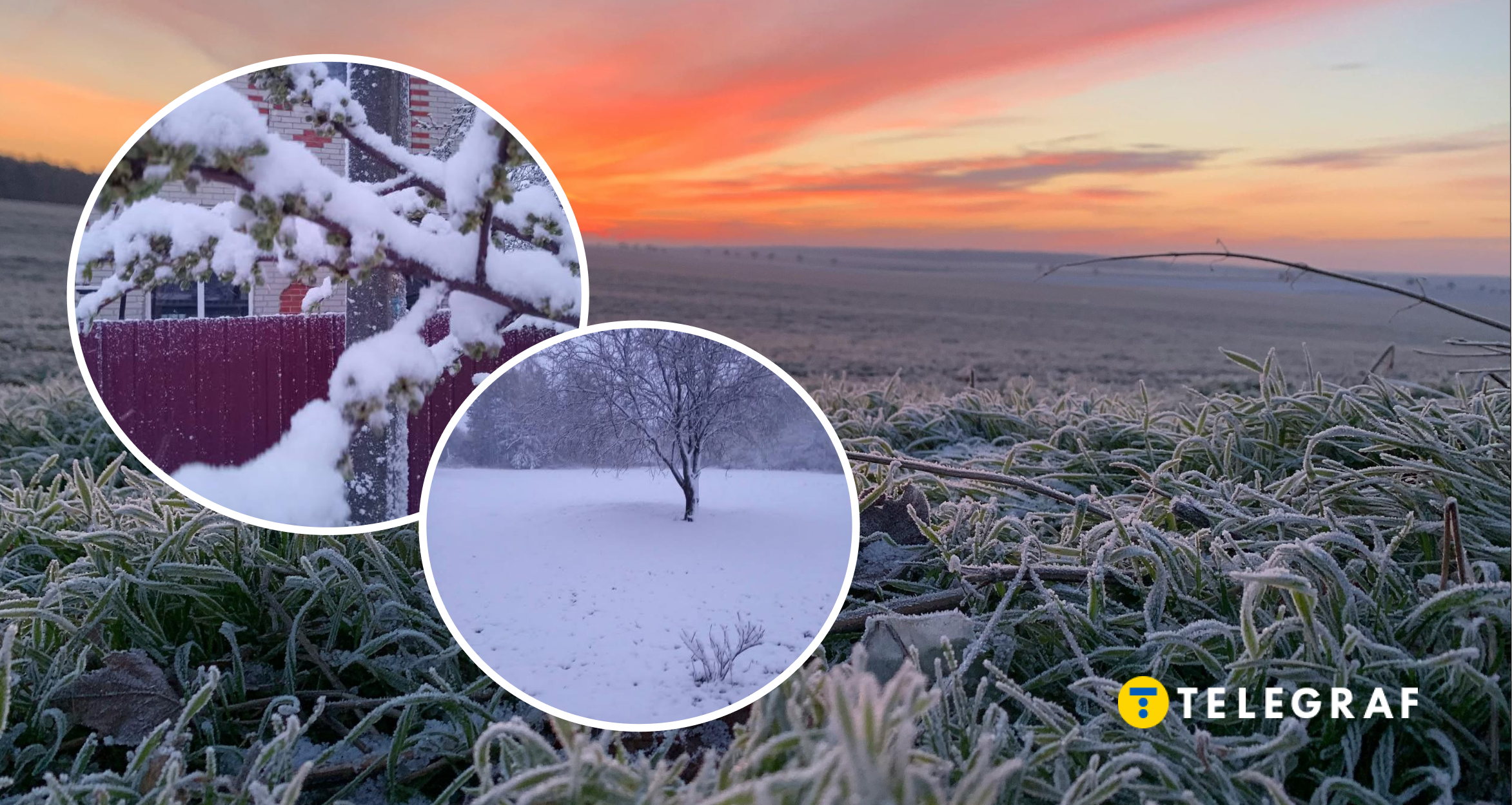 Заморозки до -5 накриють Україну. Як квітнева зима вдарила по плодових деревах