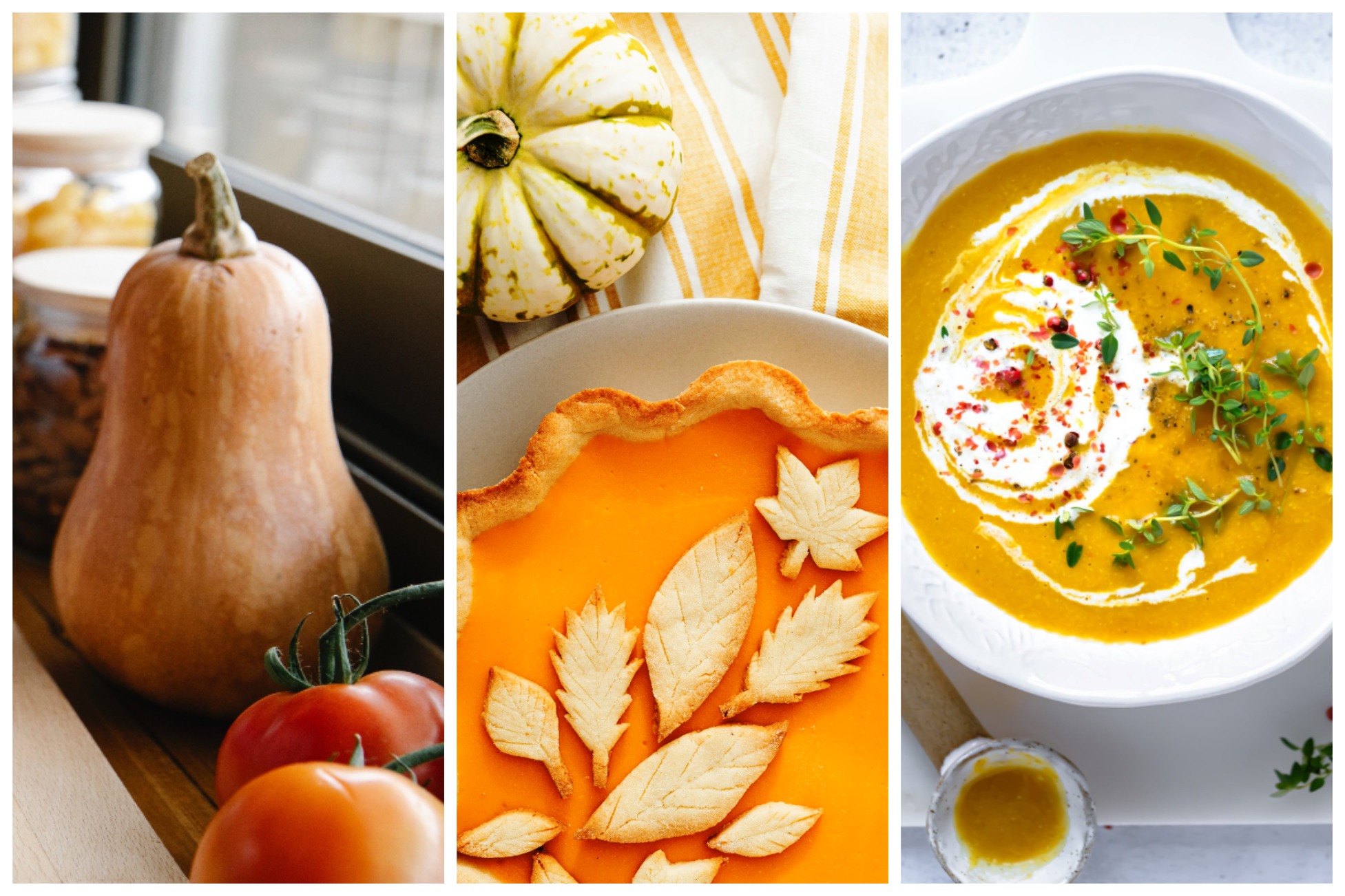 Оранжевое чудо: рецепты вкусных и полезных блюд из тыквы