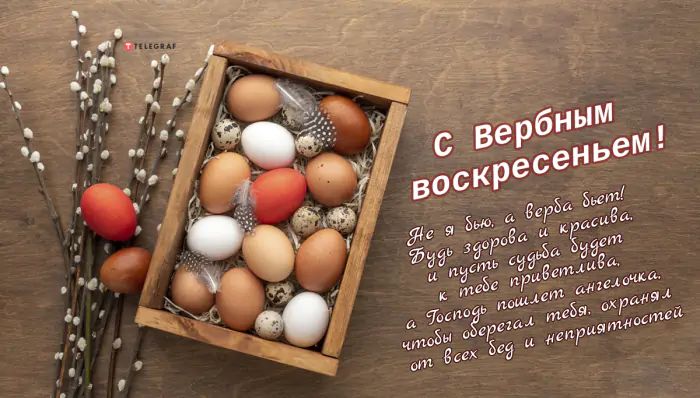 Вербное воскресенье картинки нежные