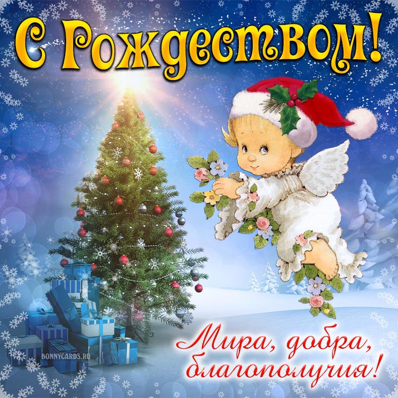 Красивые картинки и открытки с Рождеством Христовым 2024
