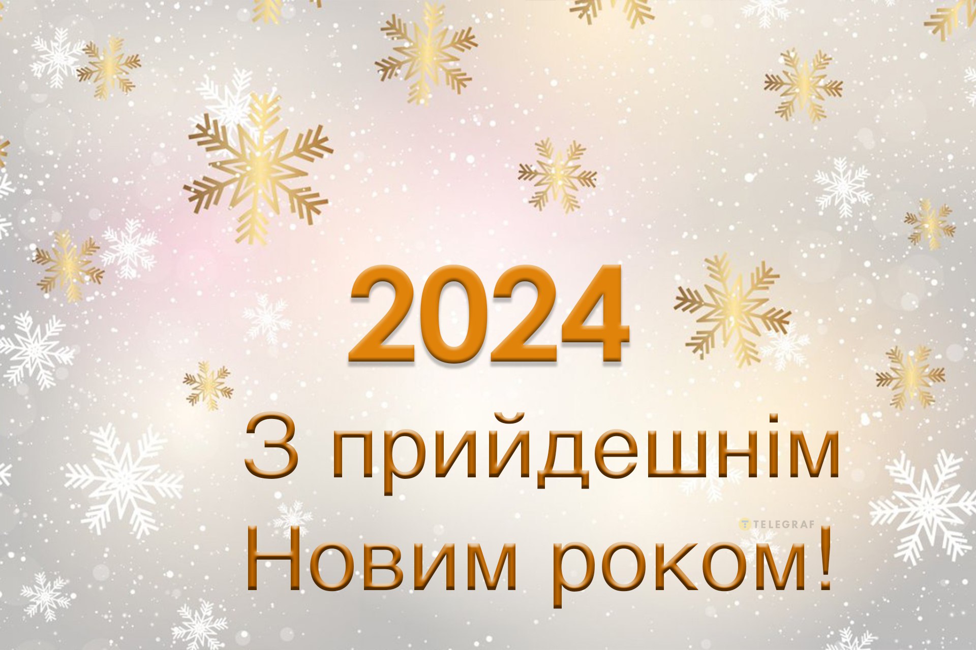 Займы за 2024 год