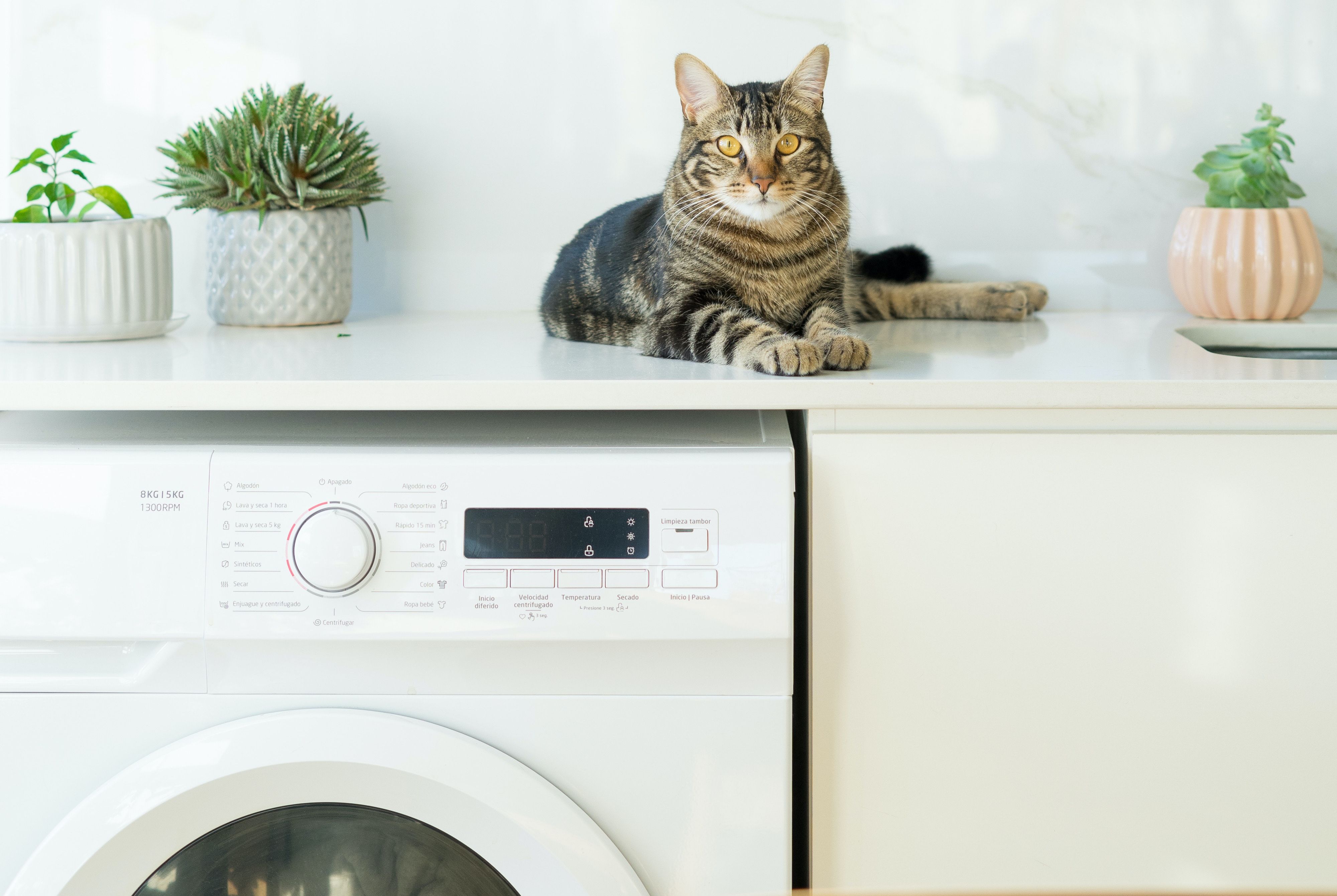 Нужно ли выключать стиральную машину из розетки после стирки: ответ вас .