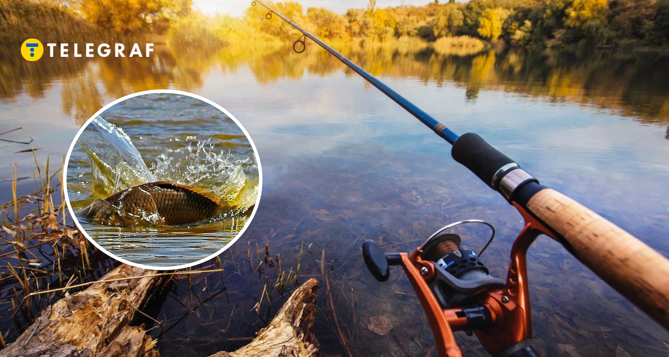 Боровся понад годину. Українець показав 