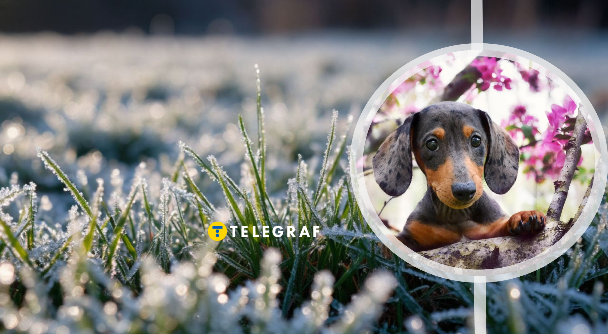 У травні - загроза заморозків: коли в Україну нарешті повернеться справжнє тепло