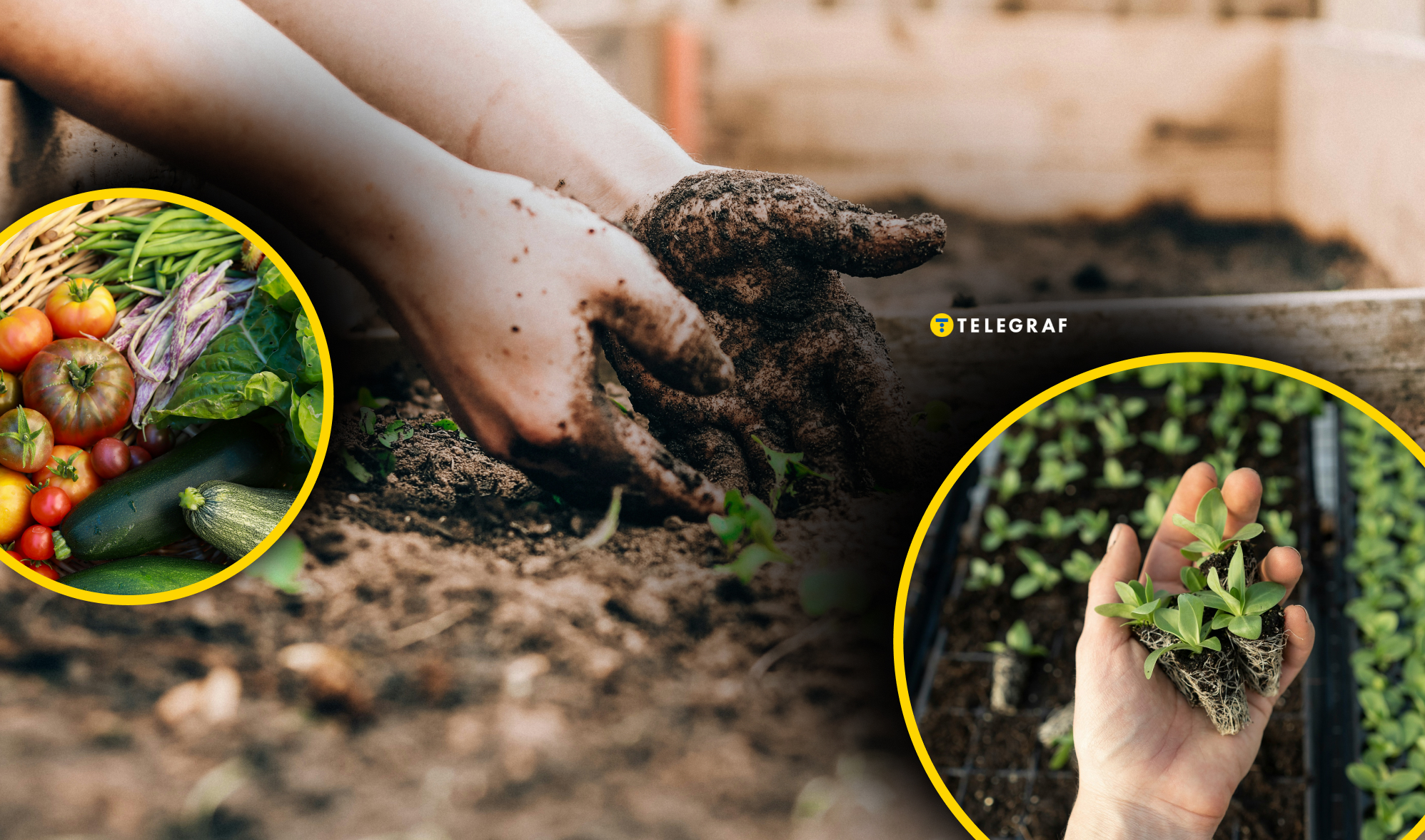 Ці помилки зводять нанівець усю працю: що не можна робити на городі навесні