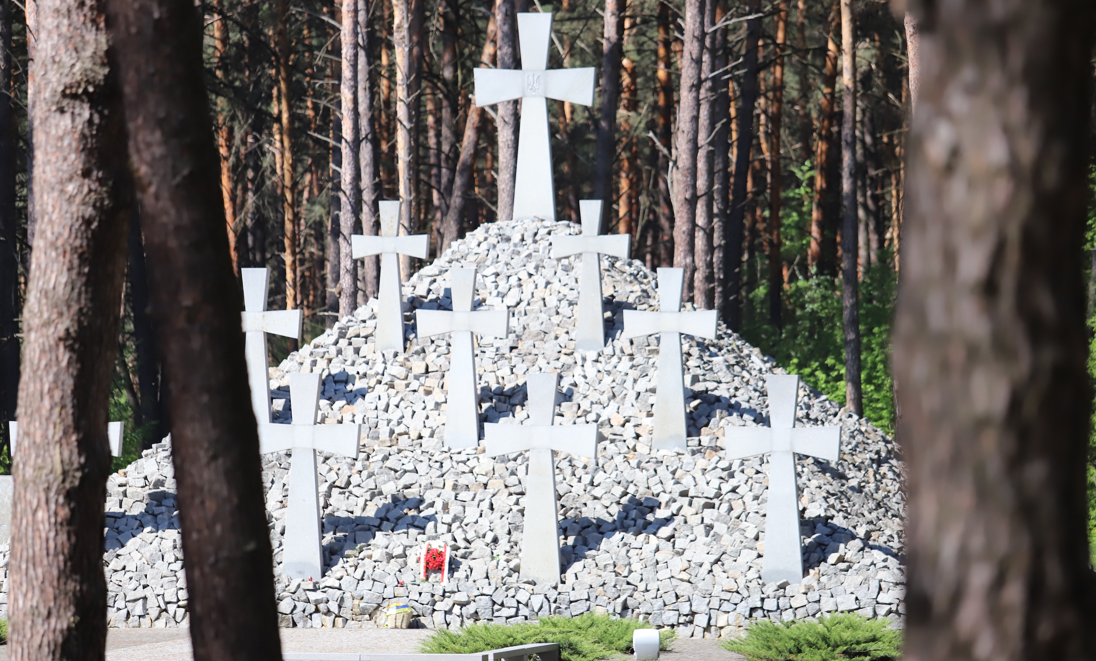 Киевляне выступили против строительства военного мемориального кладбища в  Быковне – в чем причина - Телеграф