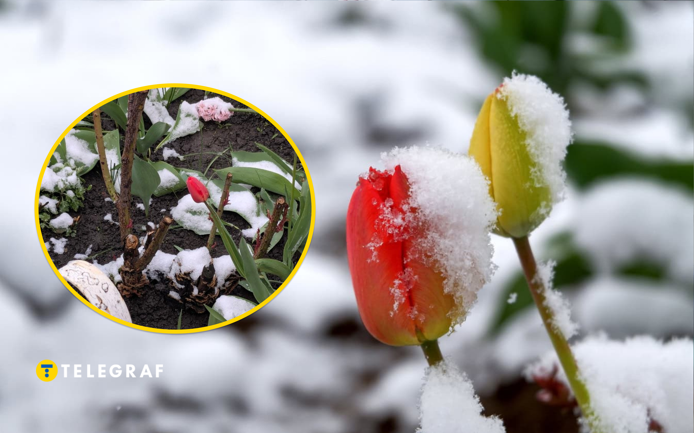 А це точно квітень? Кілька областей України засипав сніг, скільки триватиме така погода (фото і відео)