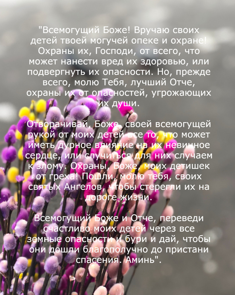 Сильные и чудодейственные молитвы на Вербное воскресенье: о чем просить -  Телеграф