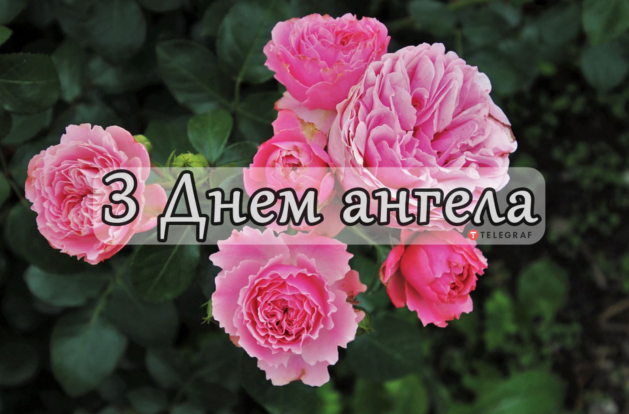 День ангела 14 июля - у кого именины, женские и мужские по церковному  календарю - Телеграф