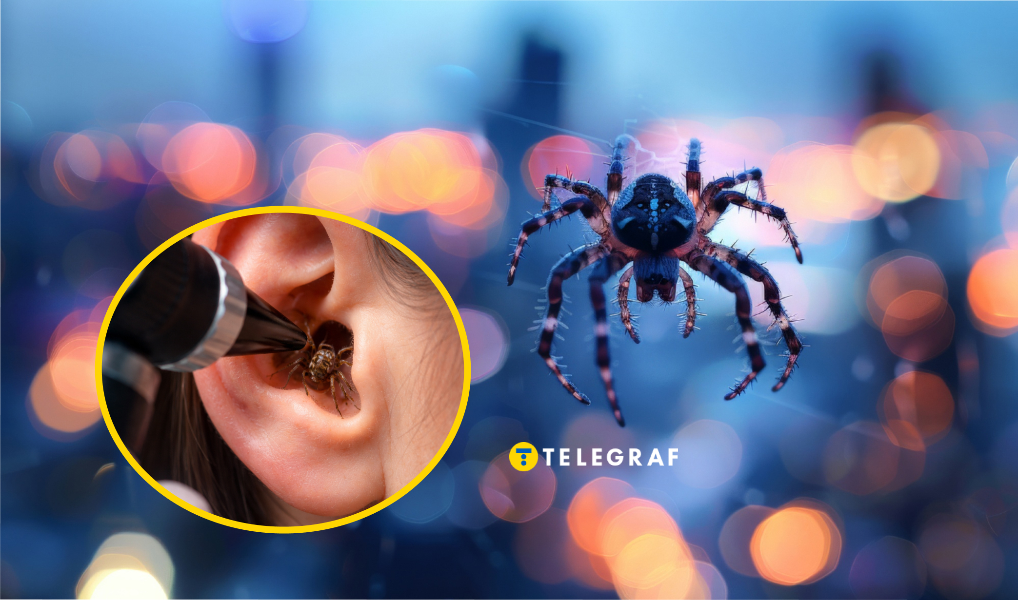 У вухах можуть жити не лише павуки: вчена пояснила моторошний інцидент з українкою