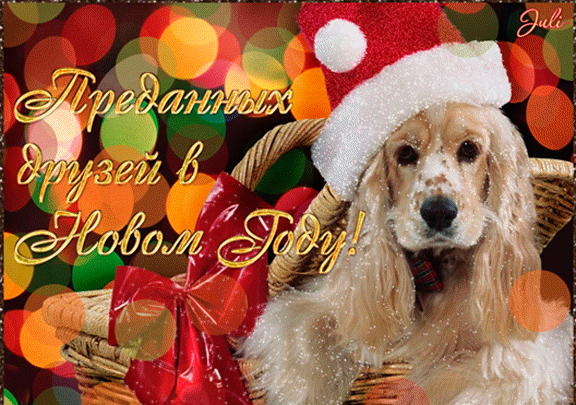 Короткие красивые поздравления с Новым годом Собаки