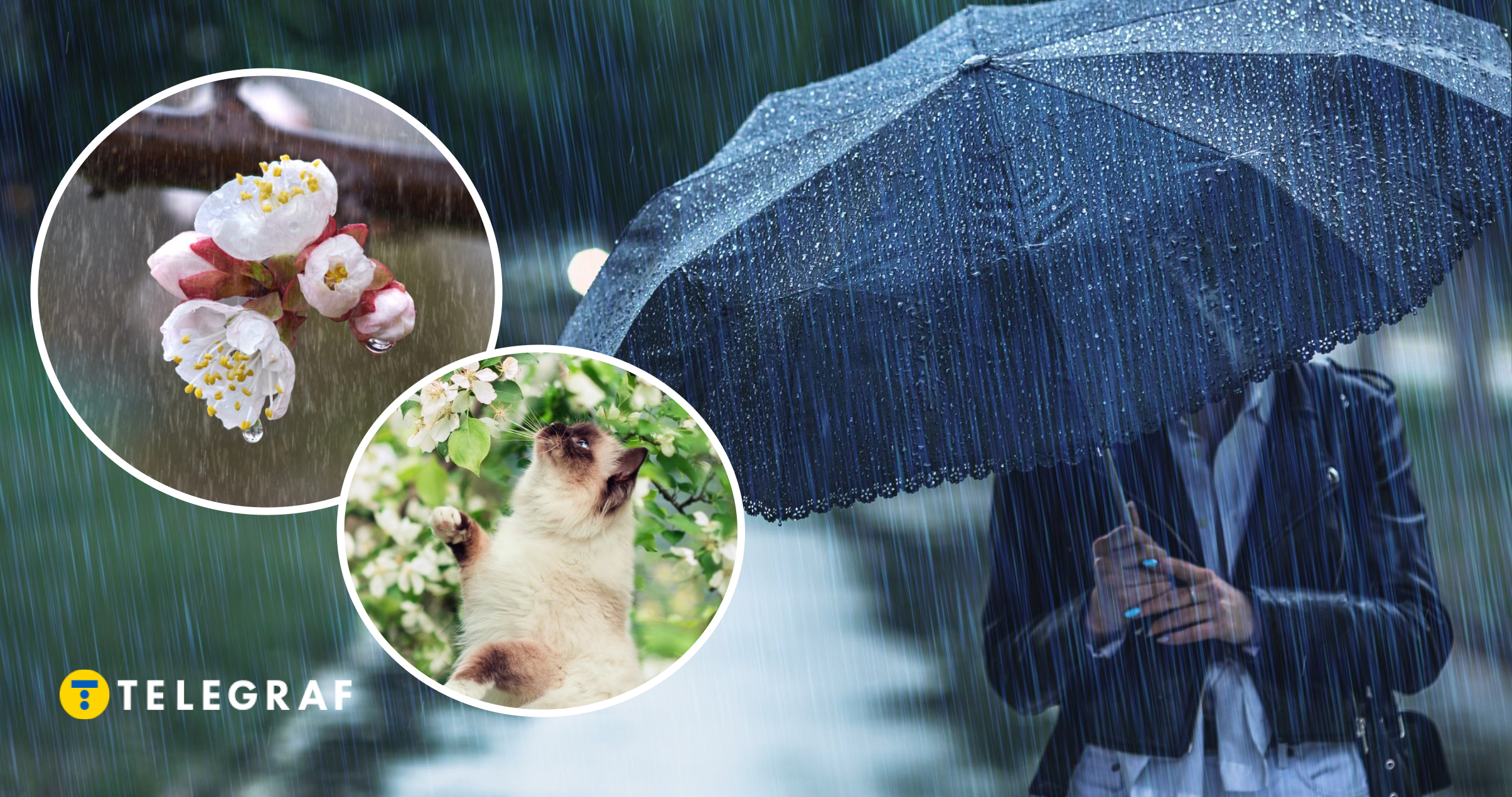 Майже тиждень дощів та заморозків. Коли в Україну прийде сонячна та тепла погода