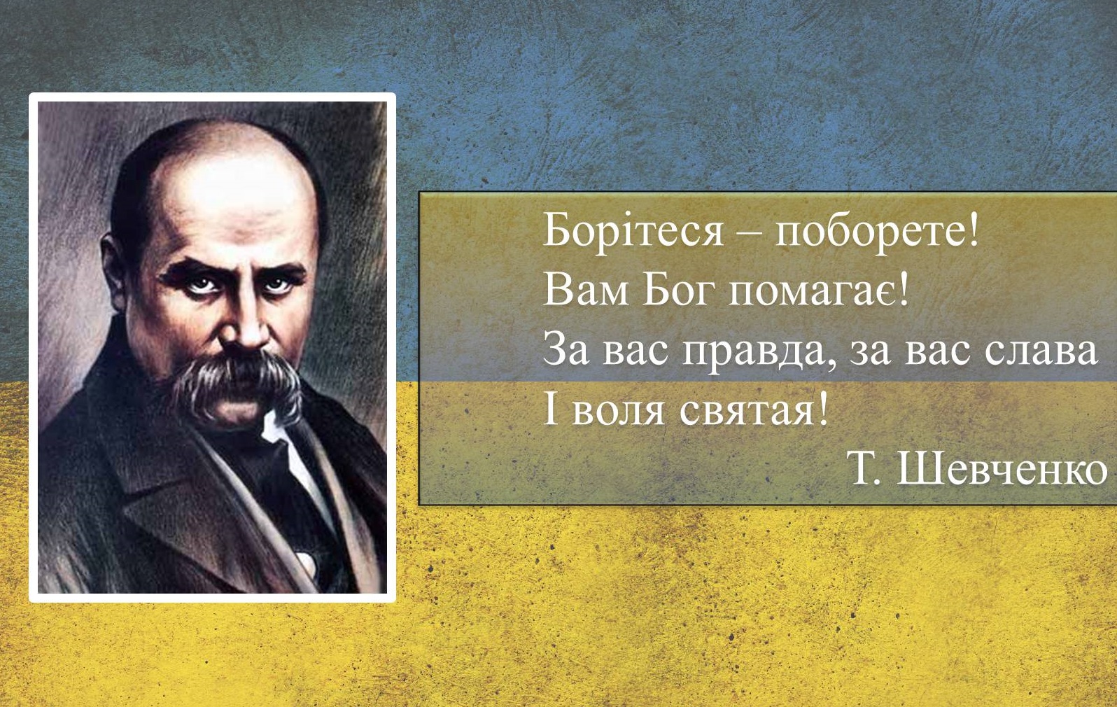 День рождения Тараса Шевченко — лучшие произведения великого украинского  поэта, которые до сих пор актуальны - Телеграф