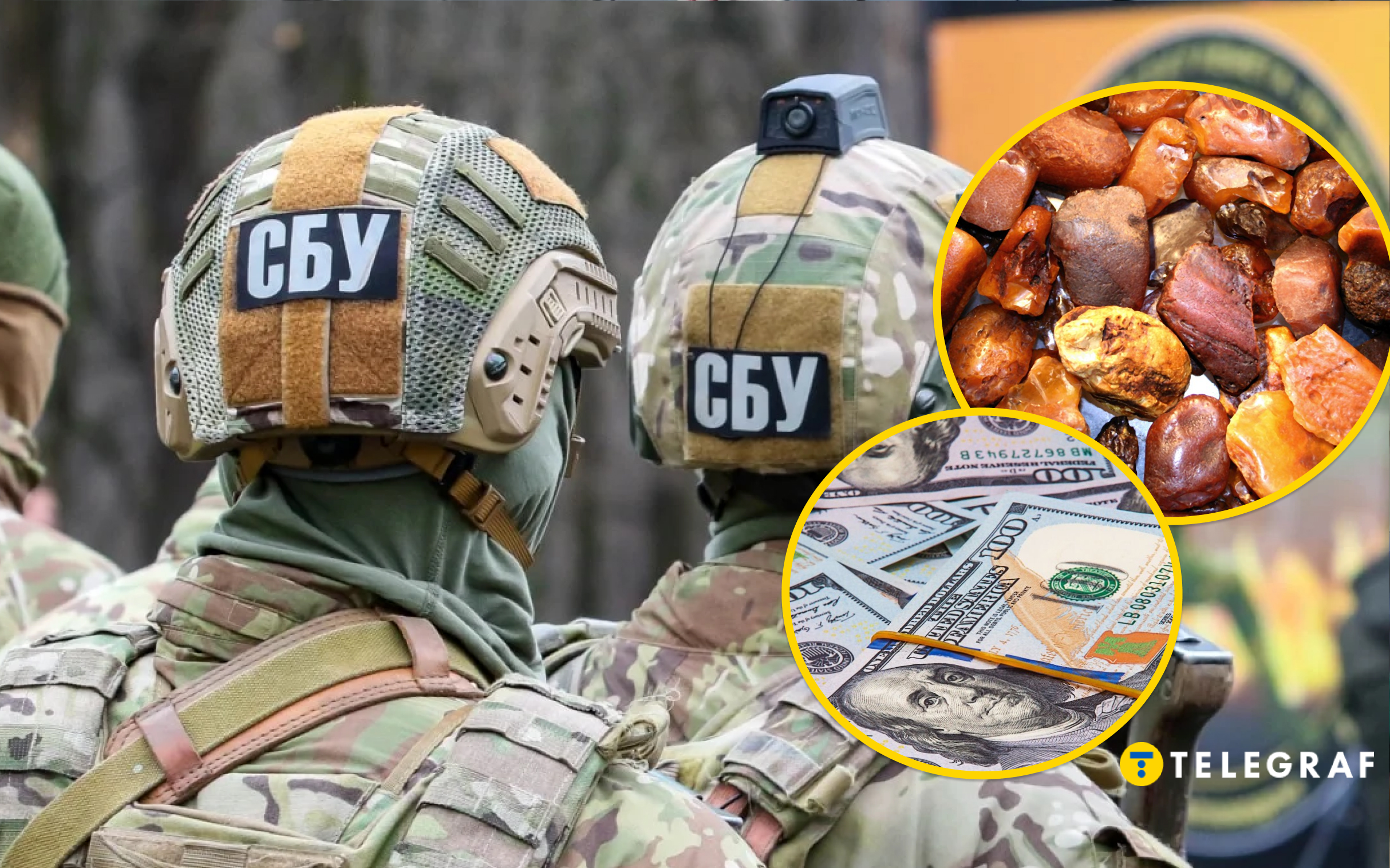 Бурштинова мафія в погонах. Як топ-посадовці СБУ 