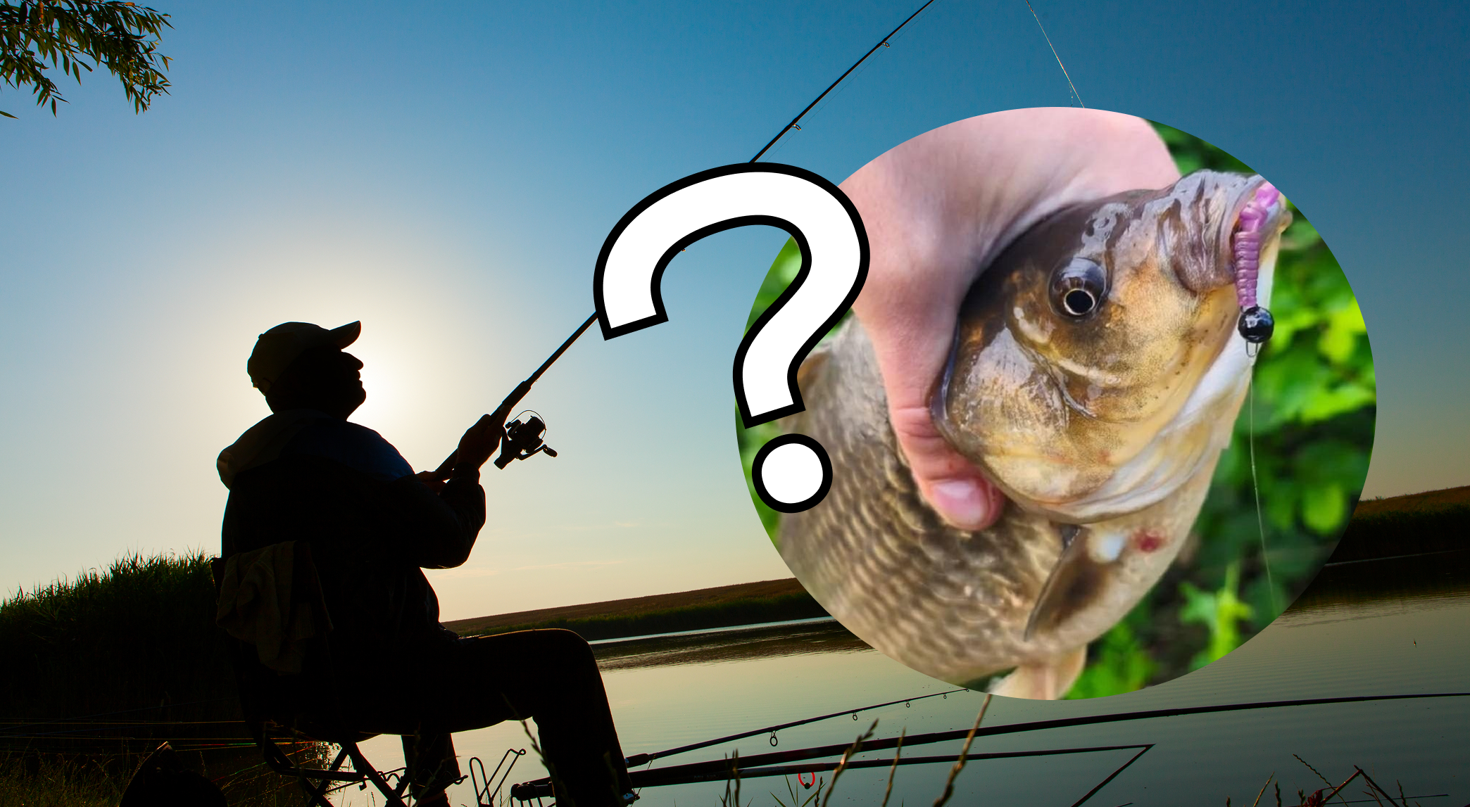 Не викидайте гроші на мастирку: на що клює великий карась, пояснили досвідчені рибалки