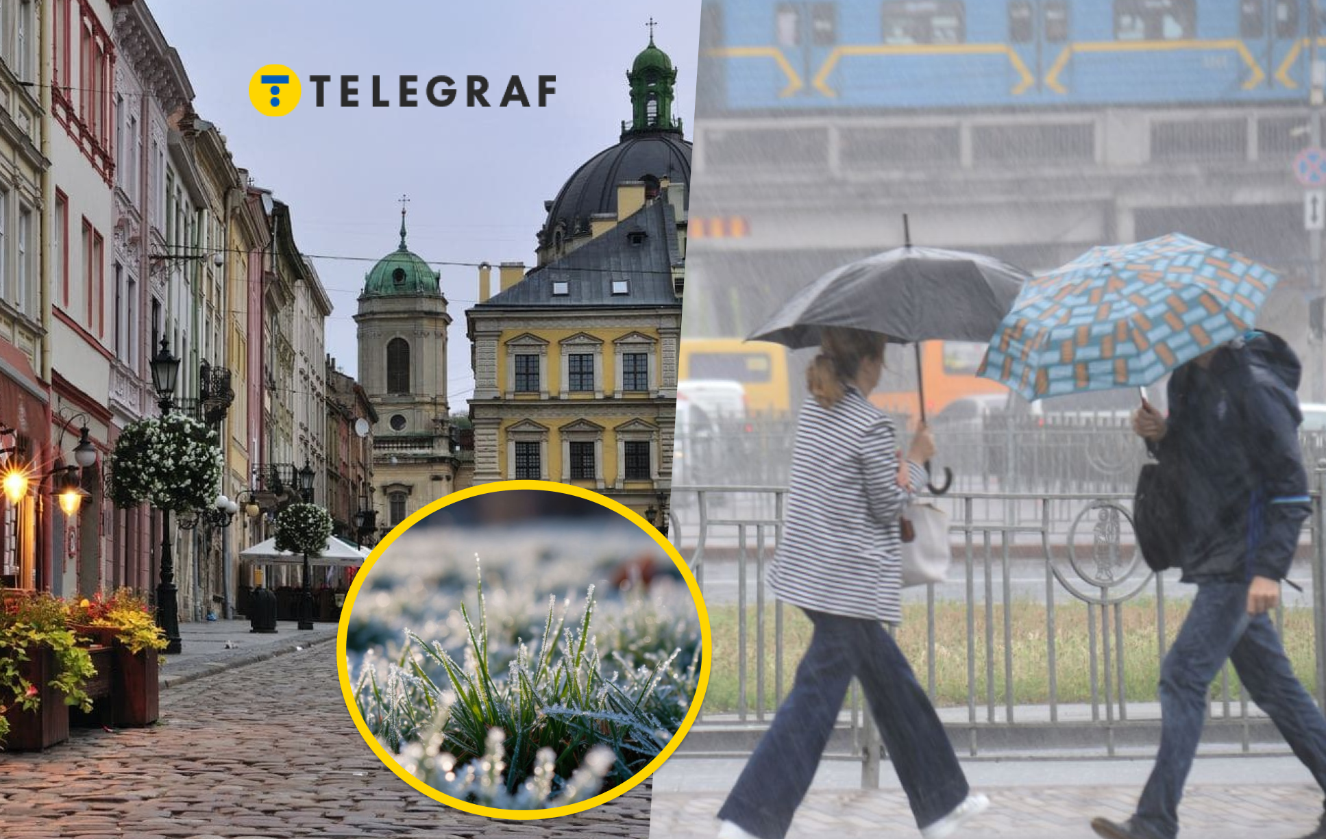 Заморозки можуть затриматись на майже тиждень: коли Львову готуватись до негоди