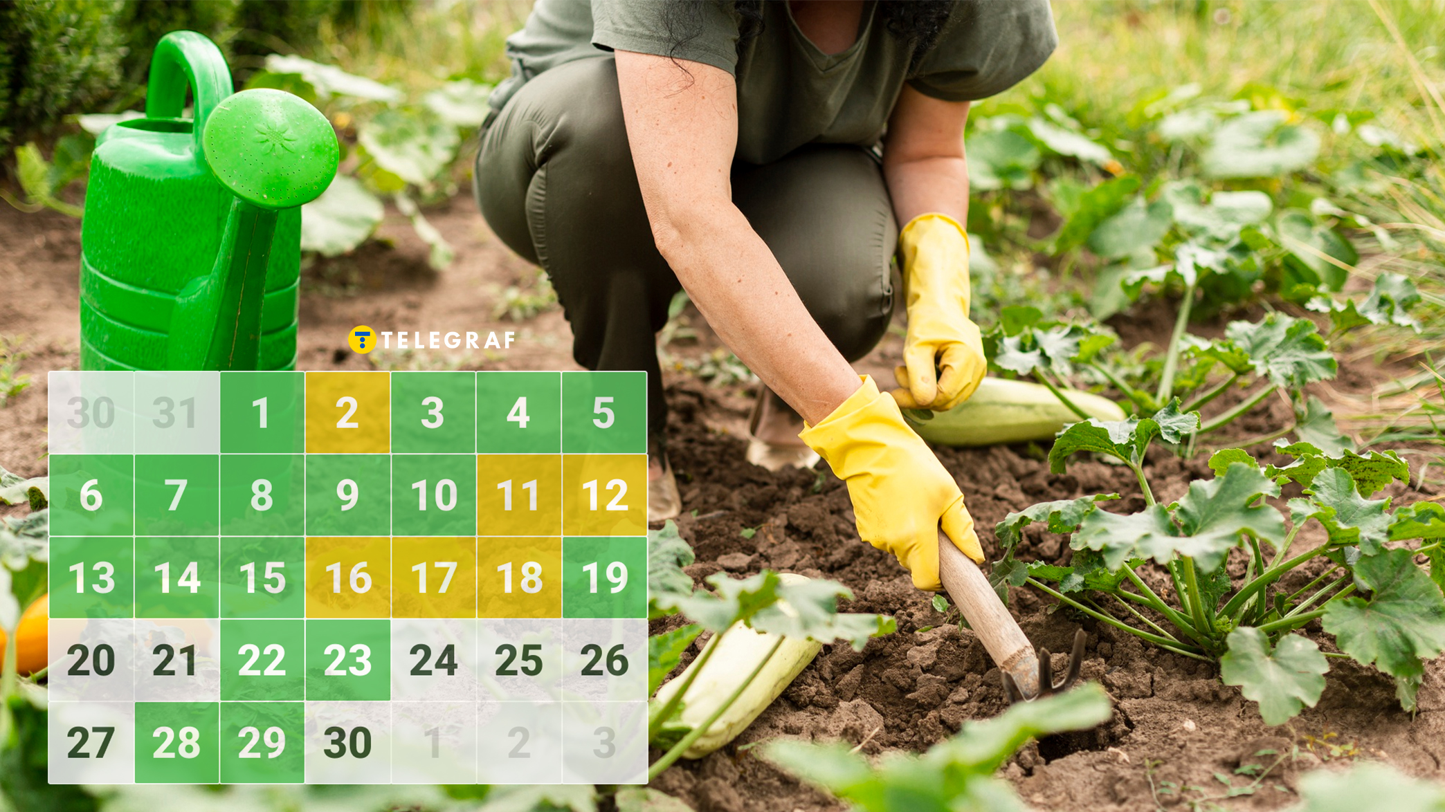 Місячний посівний календар на квітень 2026: коли сіємо моркву та саджаємо картоплю