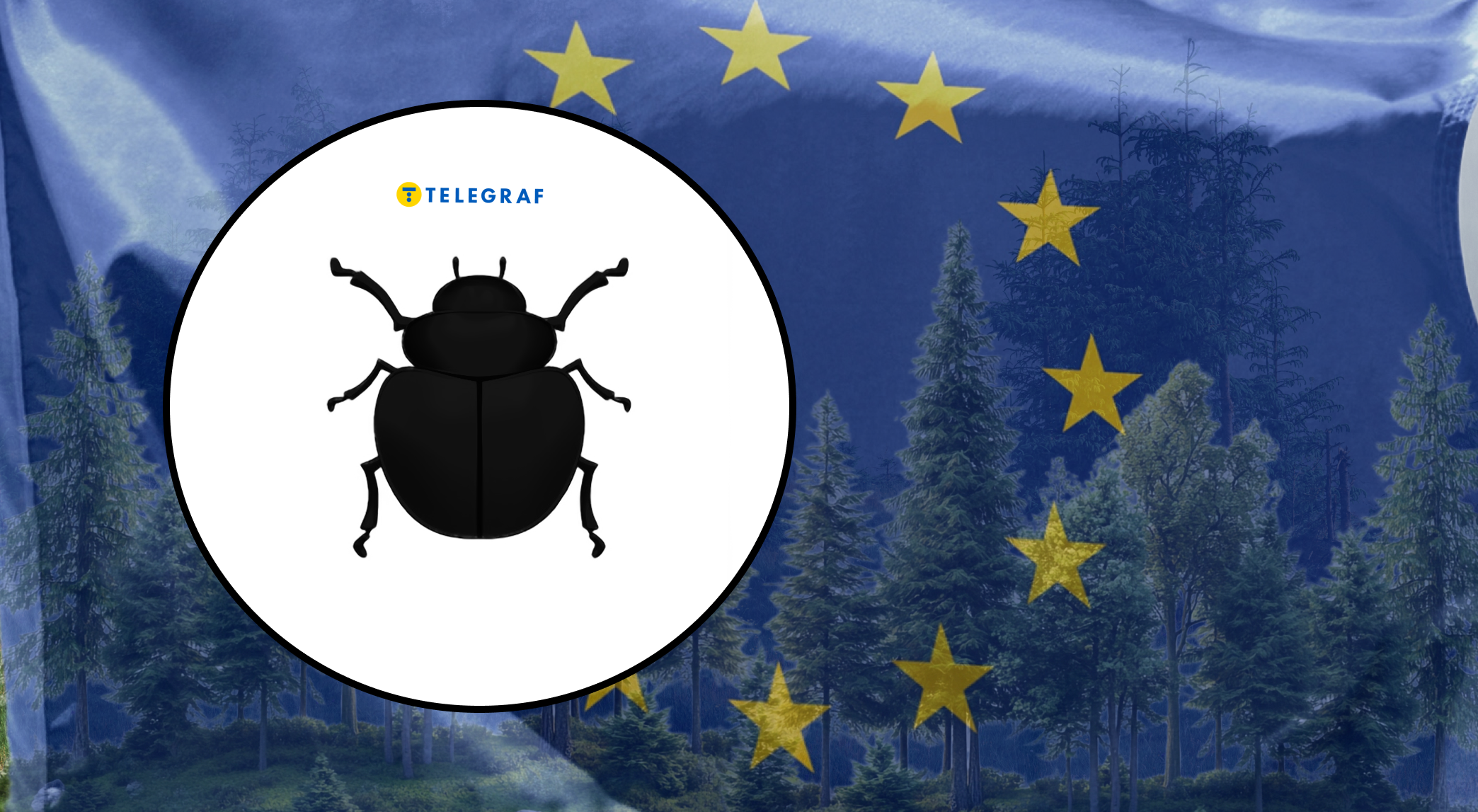 Несе загрозу лісам і міг мігрувати з України: у Європі виявили небезпечного жука