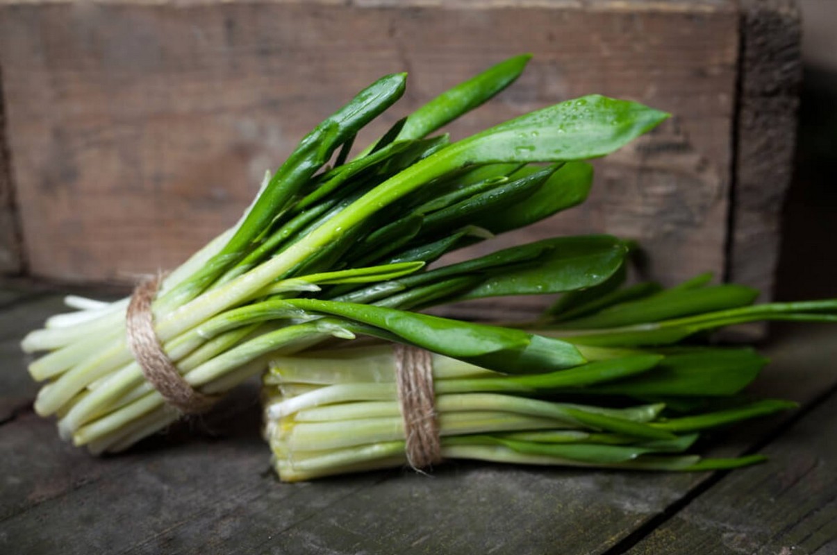 Смертельно отруйна рослина, що дуже схожа на їстівну, насіялася в Україні: як її розпізнати (інфографіка)