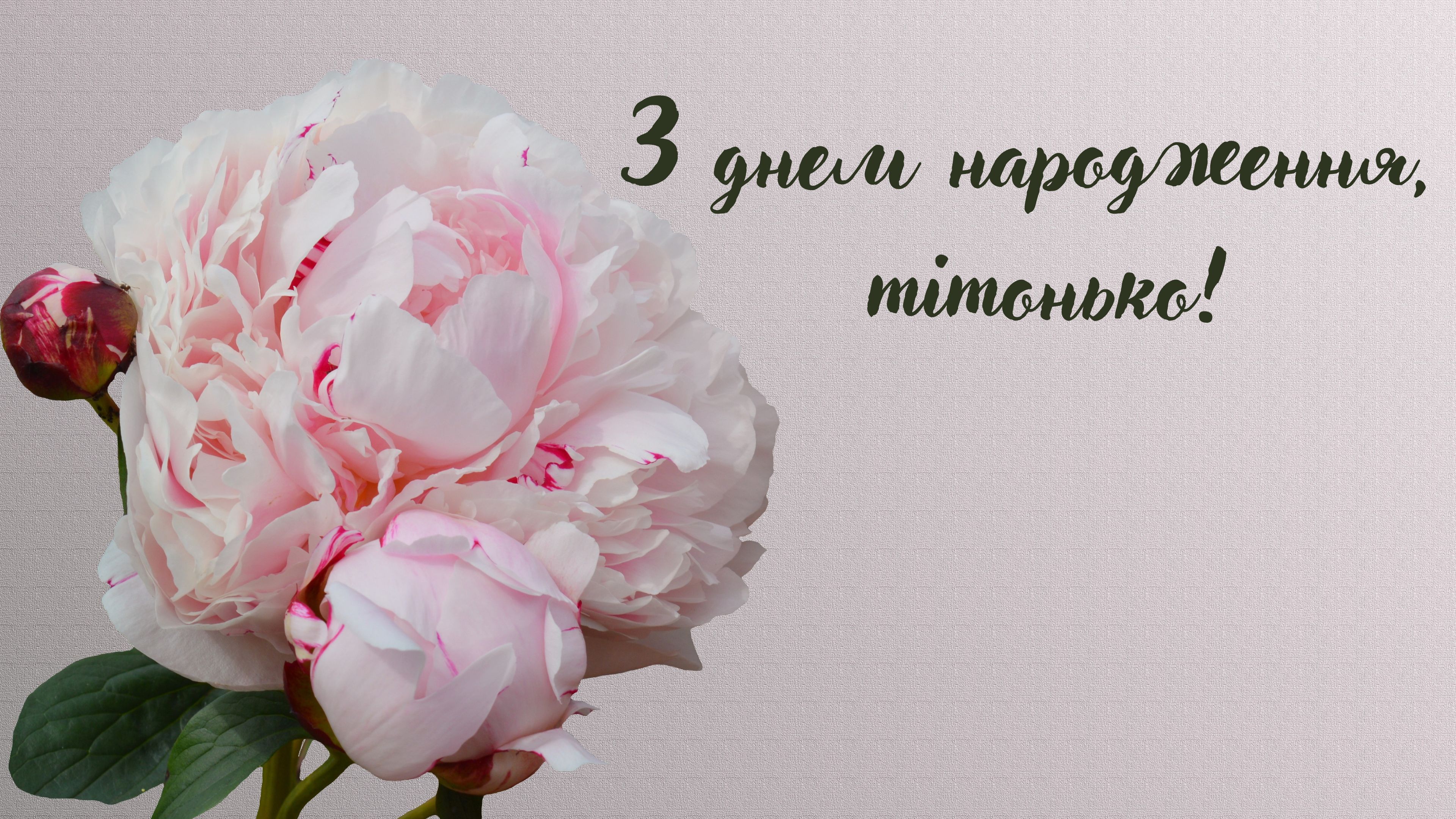 Короткие поздравления с днем рождения любимой тёте 💐 – бесплатные пожелания на Pozdravim