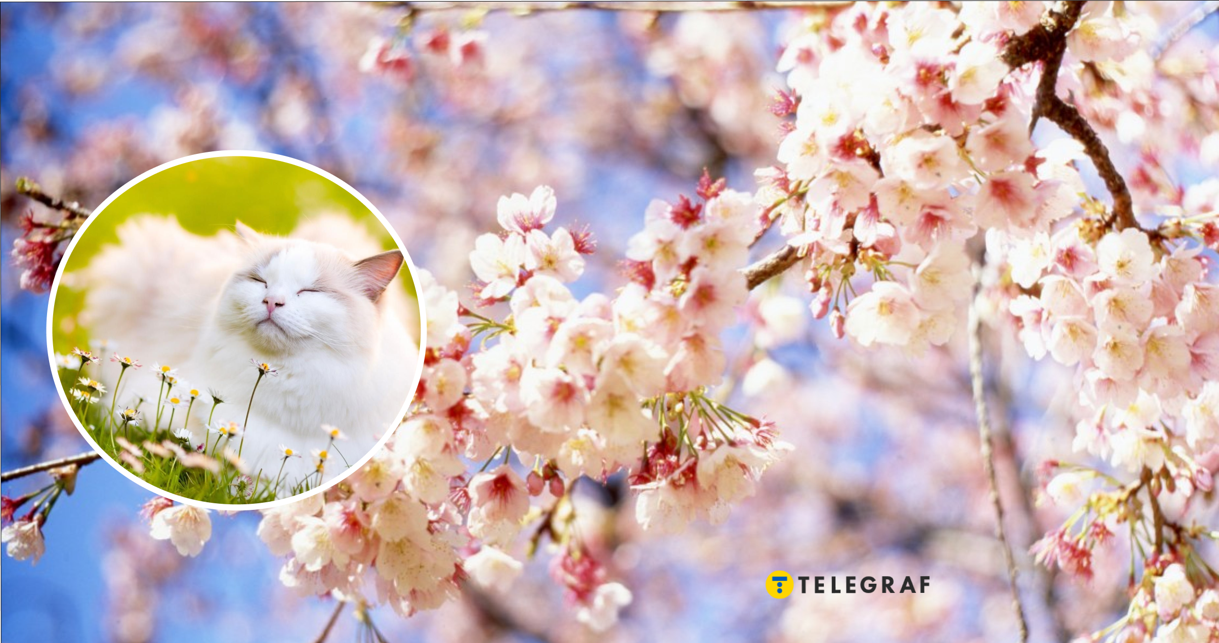 Буде до +18 градусів, але … Якої погоди чекати українцям у перші дні квітня