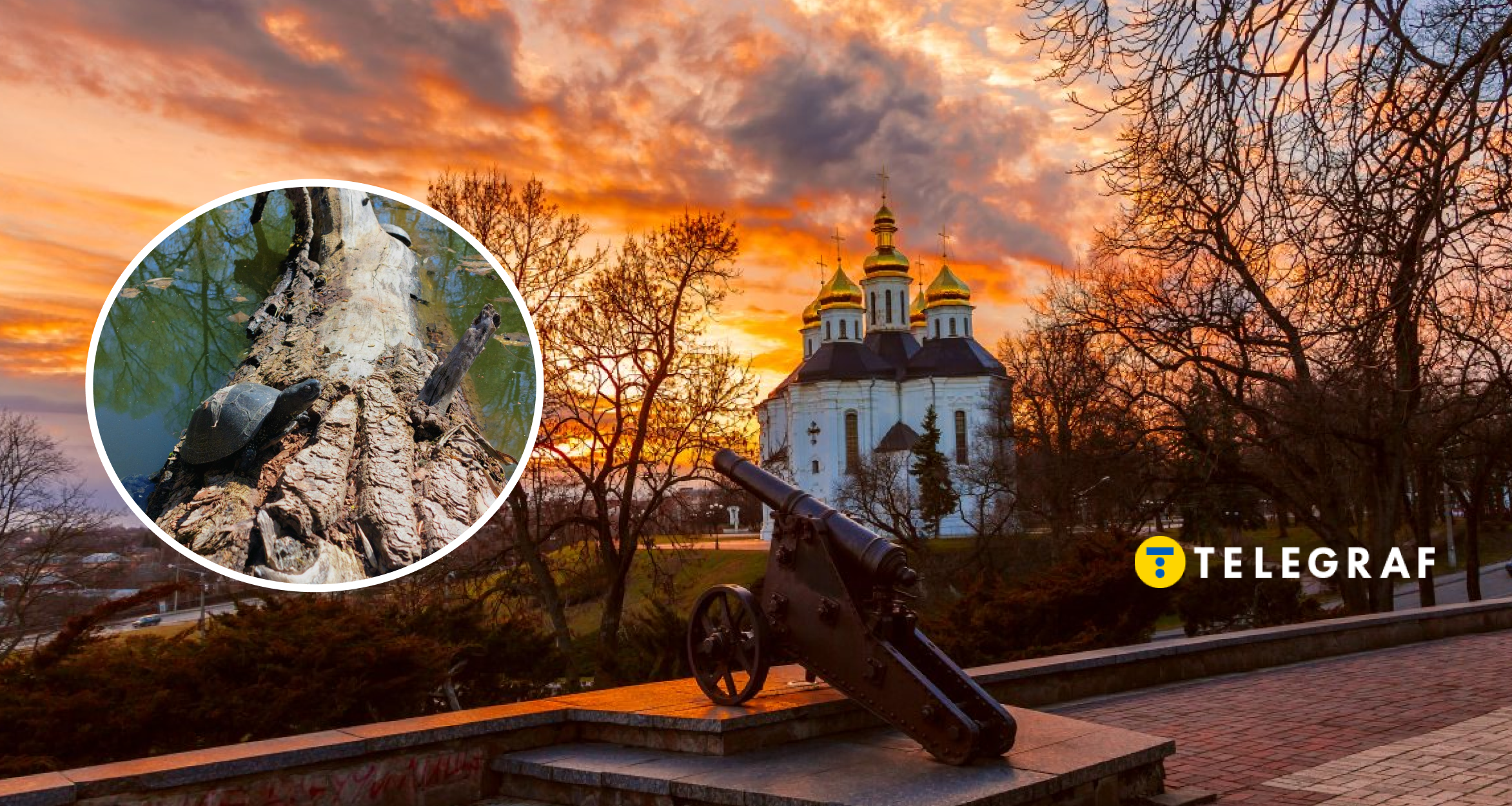 І за кордон їхати не треба. Де в Україні можна побачити рідкісних тварин (фото)