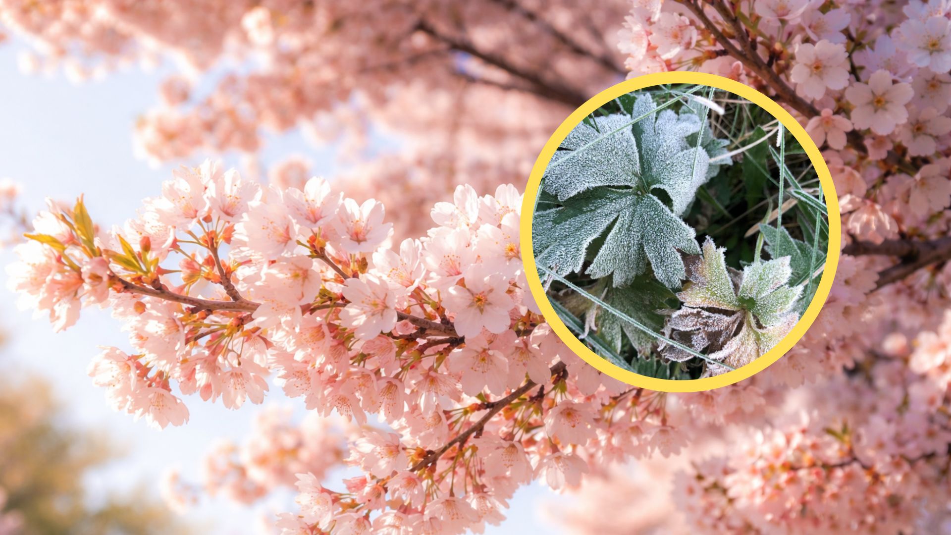 Зима повертається у квітні: Україну накриє різке похолодання з нічними 