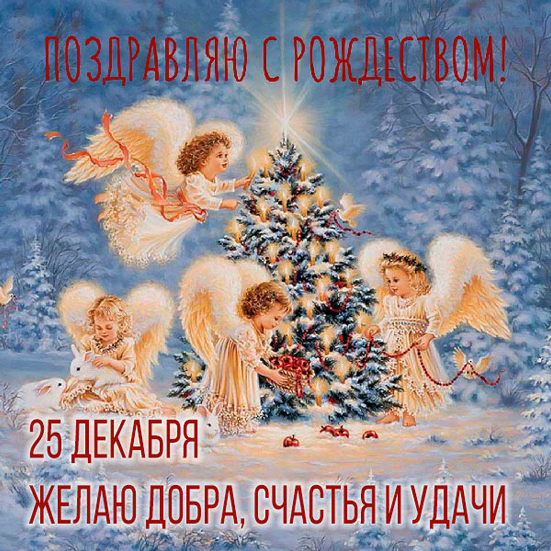 Выбирайте поздравления и отправляйте их своим близким, которые отмечают Рождество 25 декабря