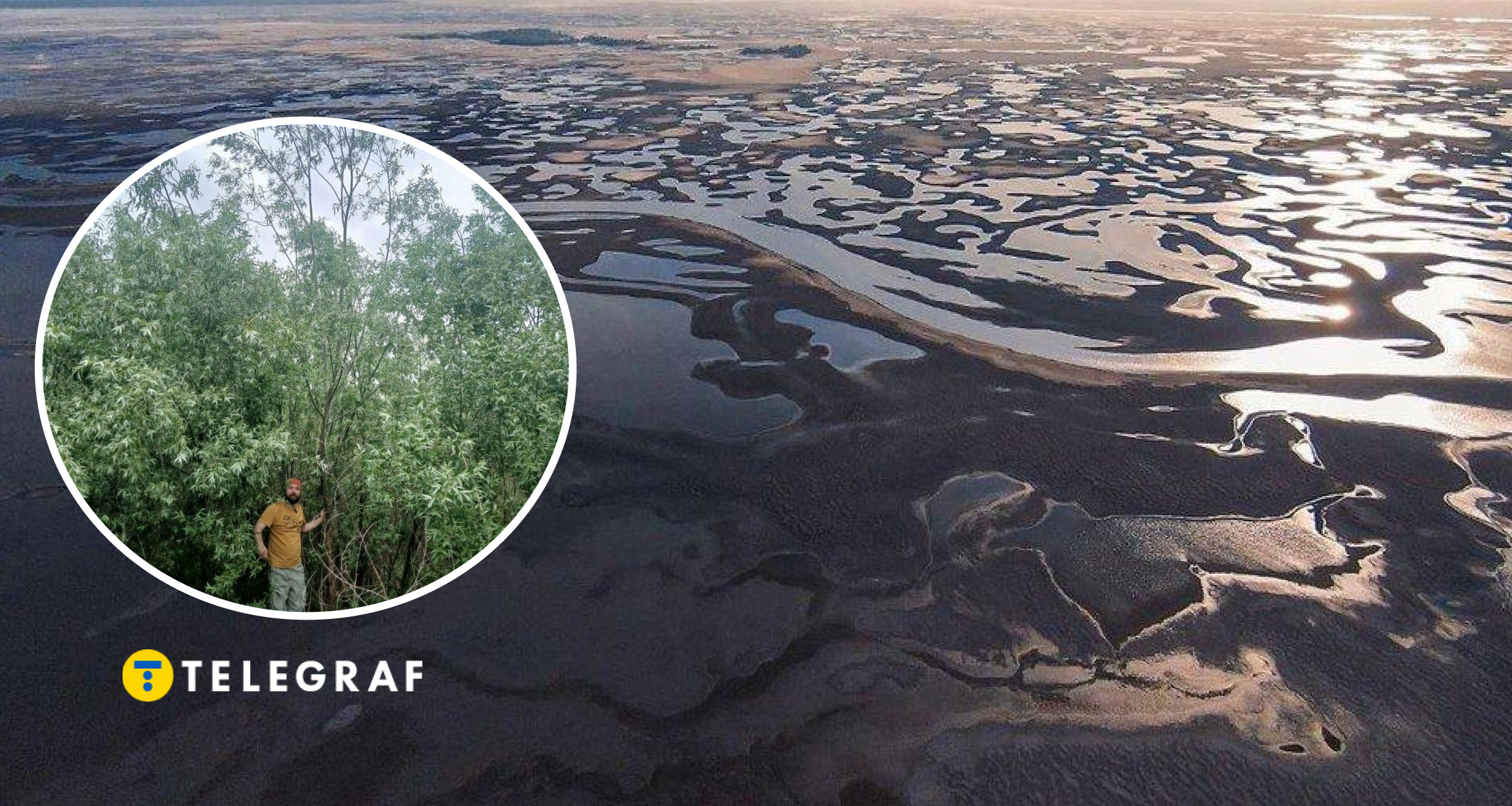 На місці Каховського водосховища тепер унікальний ліс (фотопорівняння)