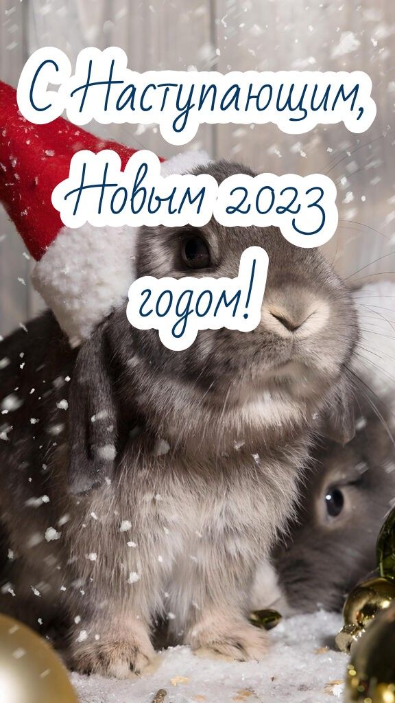 Смс с Новым годом 2024 Кролика короткие