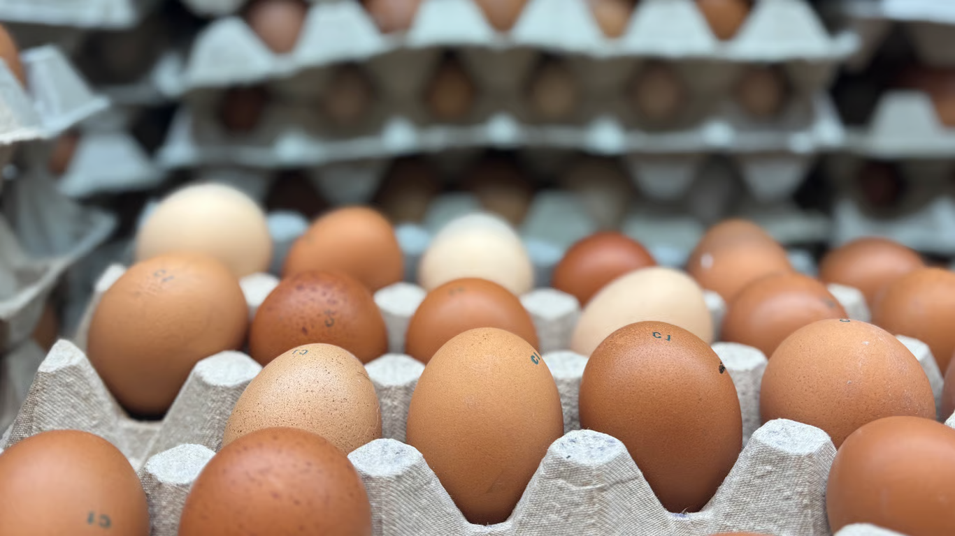 Бабусі не помиляються: старий метод перевірки свіжості яєць, який працює завжди