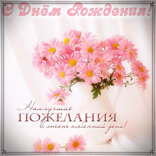 Короткие поздравления с днем рождения Анастасии 💐 – бесплатные пожелания на Pozdravim