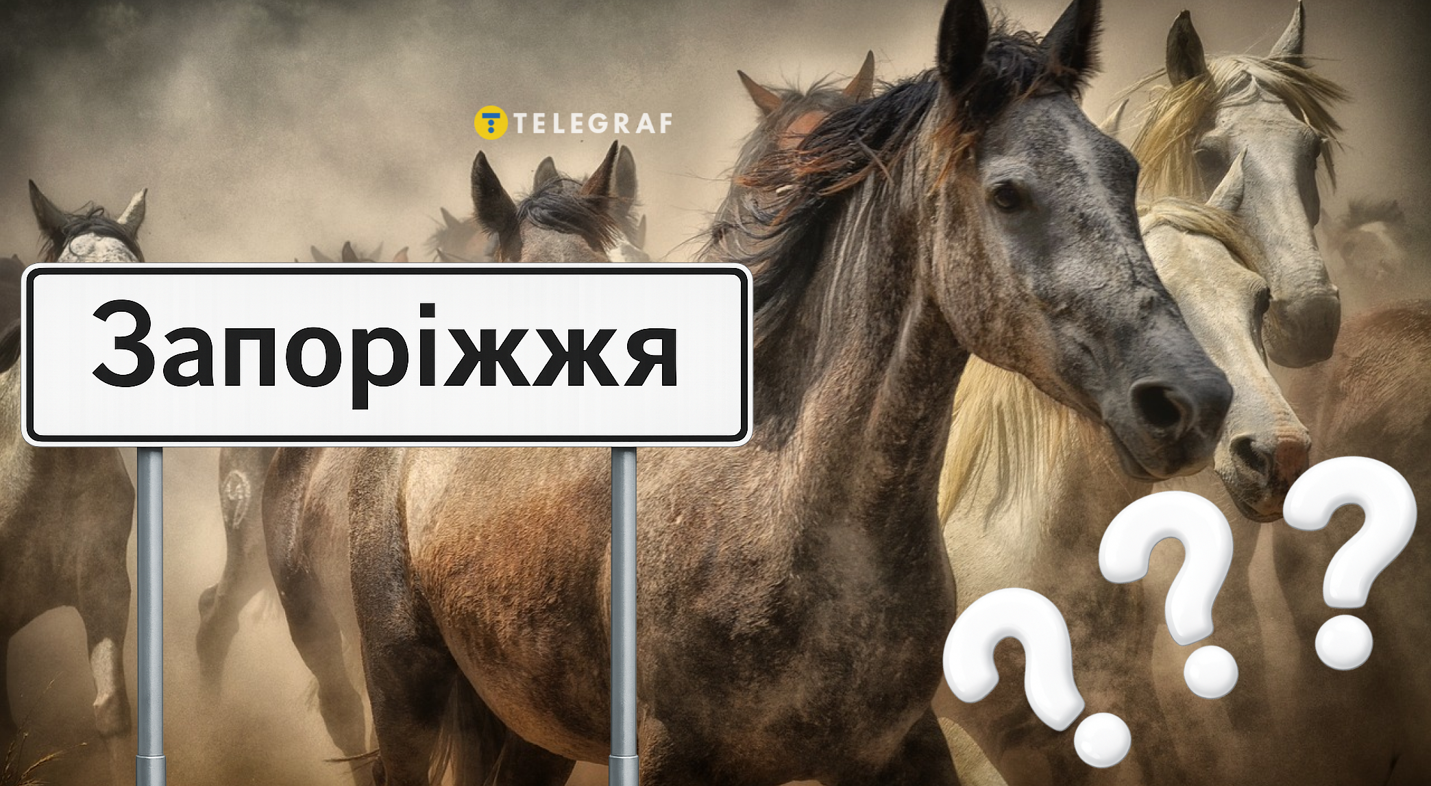 Табун коней скакав посеред Запоріжжя: як тварини опинилися там (відео)