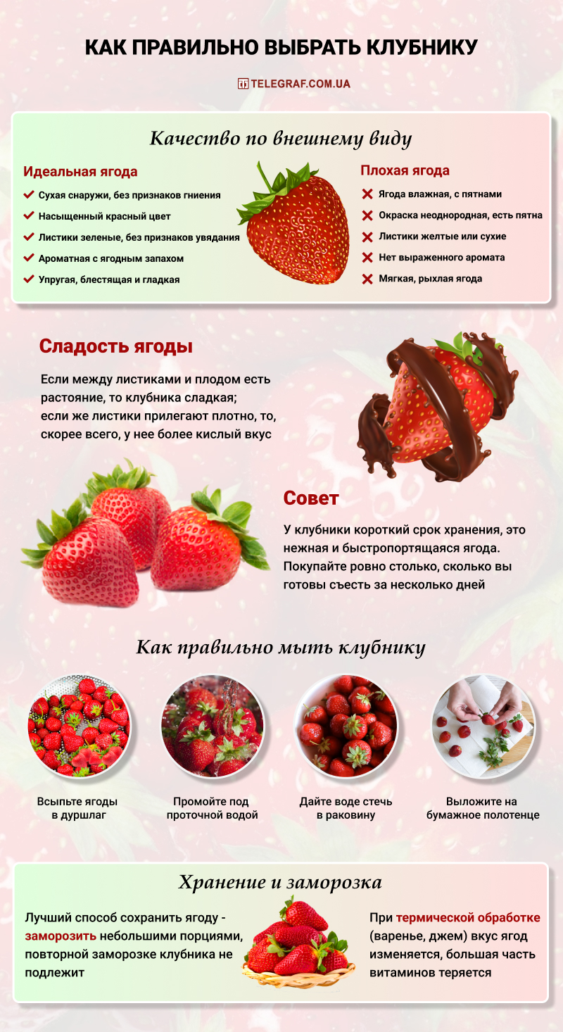 Сезон клубники в самом разгаре: как выбирать, мыть и хранить весеннюю ягоду(инфографика) - Телеграф